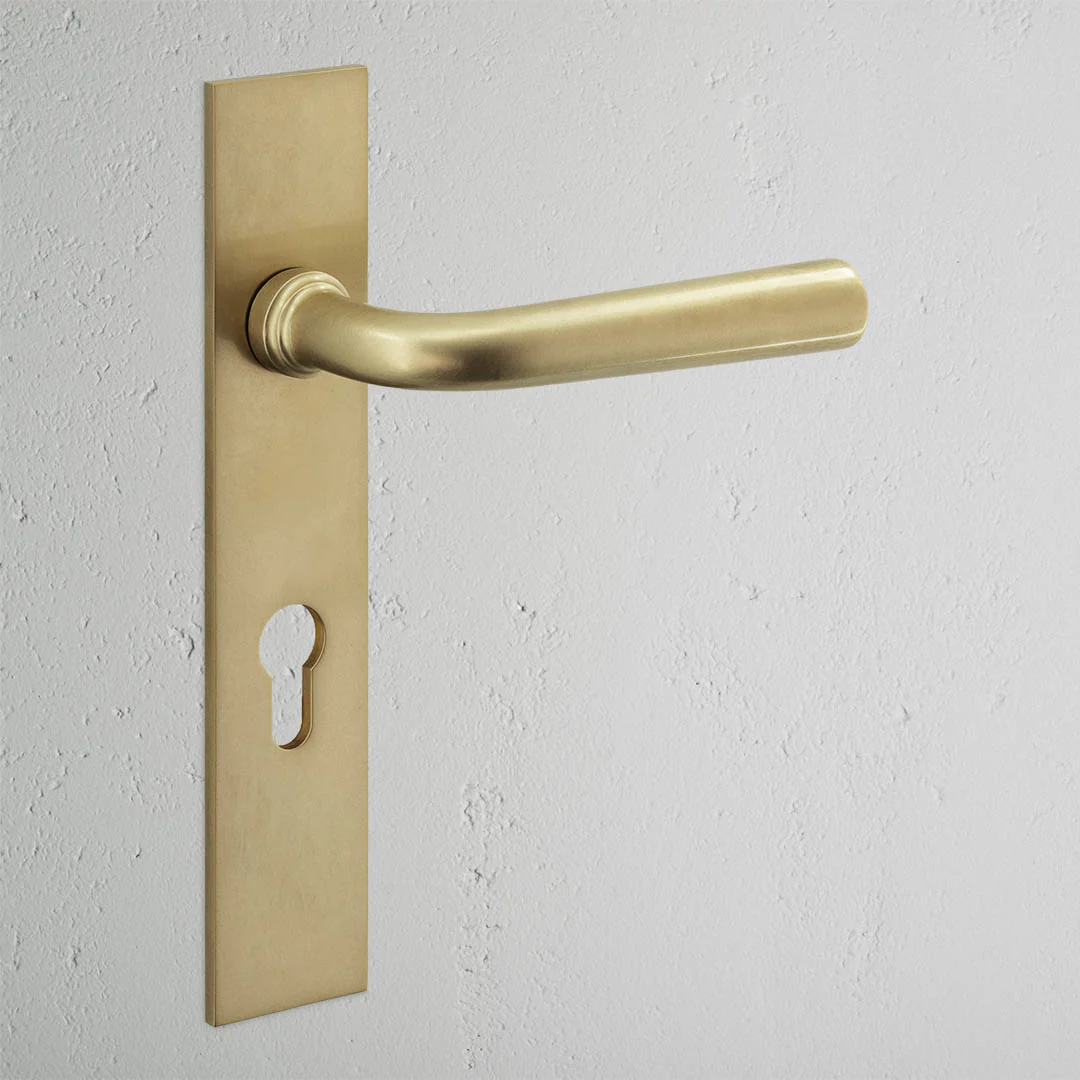 Apsley Long Plate Sprung Door Handle & Euro Lock – Antique Brass