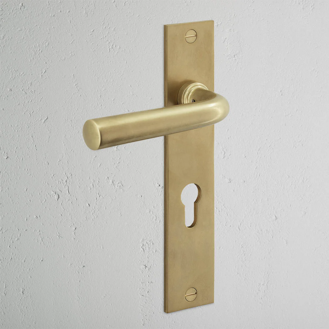 Apsley Long Plate Sprung Door Handle & Euro Lock – Antique Brass - Image 2