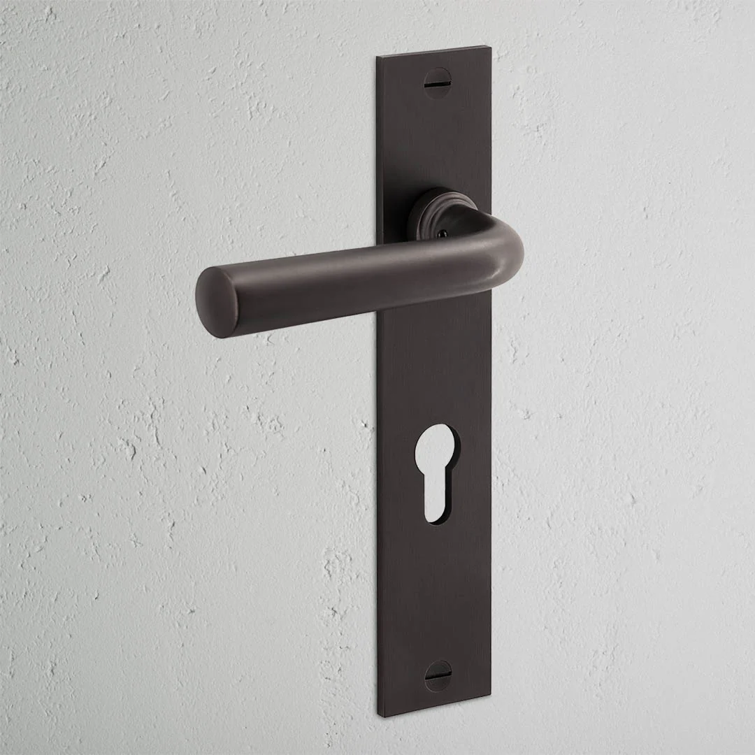 Apsley Long Plate Sprung Door Handle & Euro Lock – Bronze   - Image 2