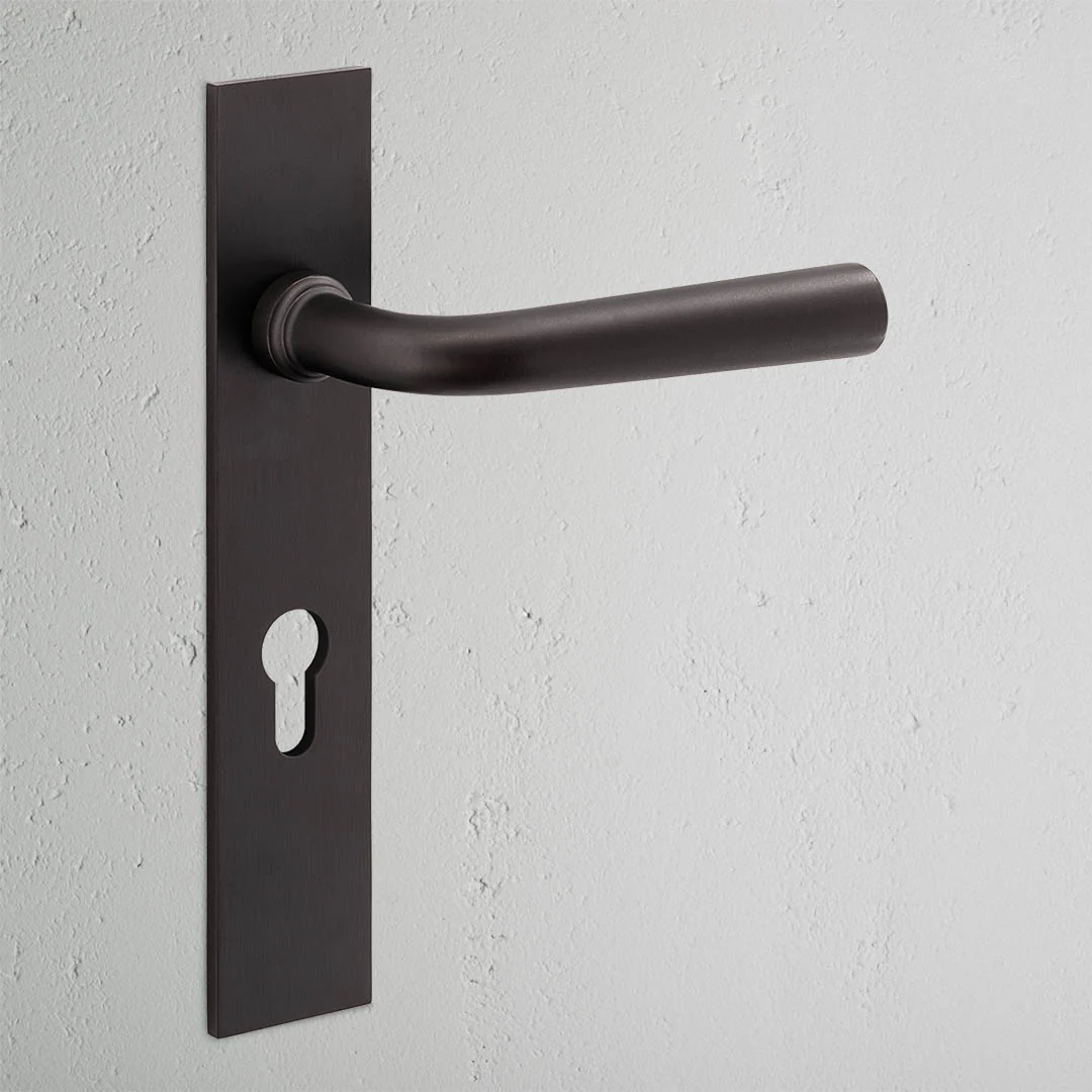 Apsley Long Plate Sprung Door Handle & Euro Lock - Bronze