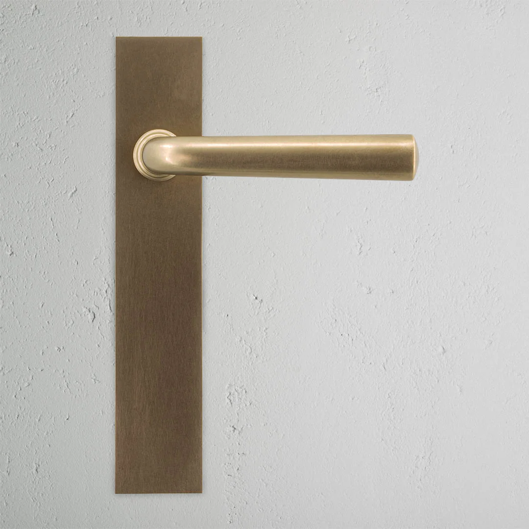 Apsley Long Plate Unsprung Door Handle - Antique Brass - Image 2