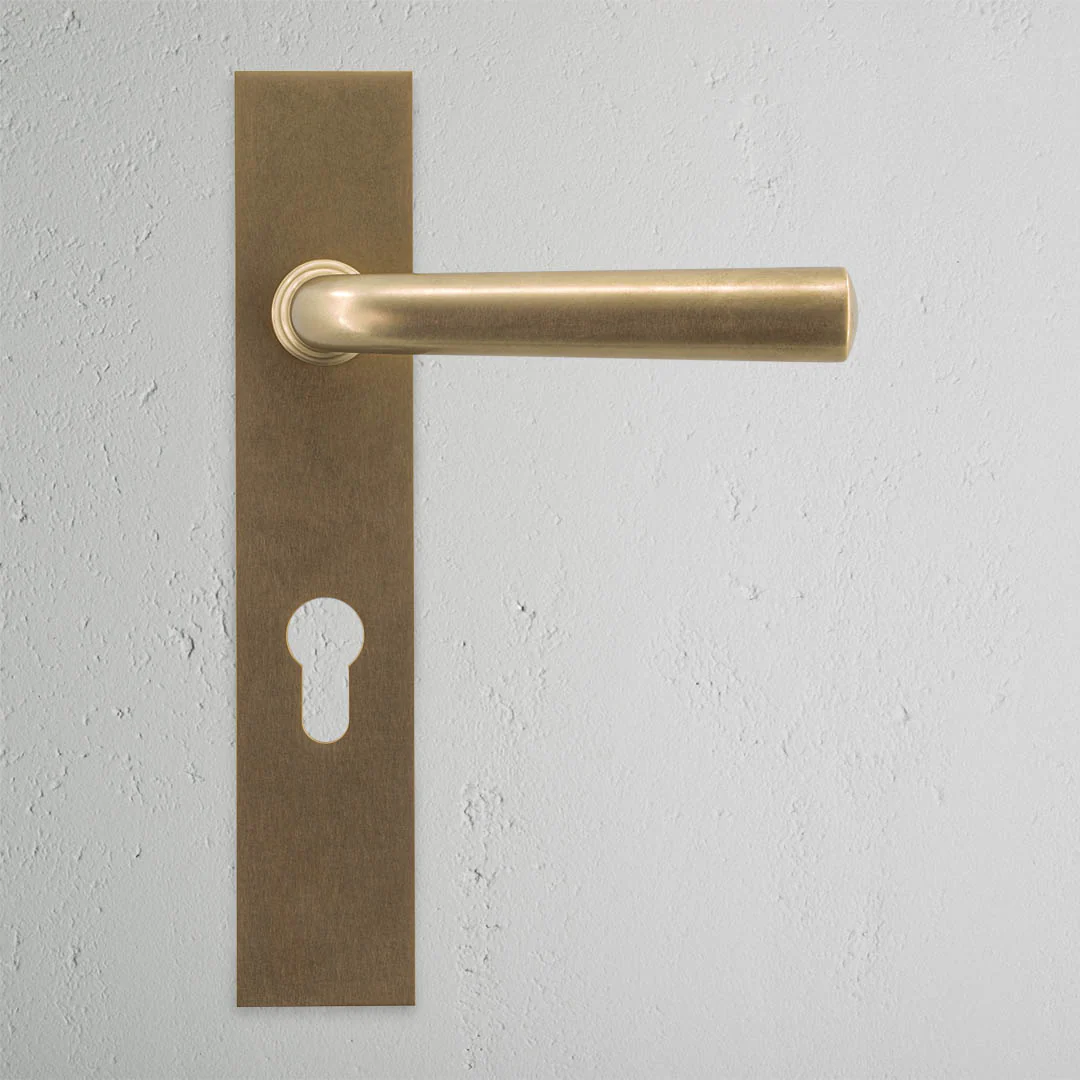 Apsley Long Plate Unsprung Door Handle & Euro Lock – Antique Brass - Image 2