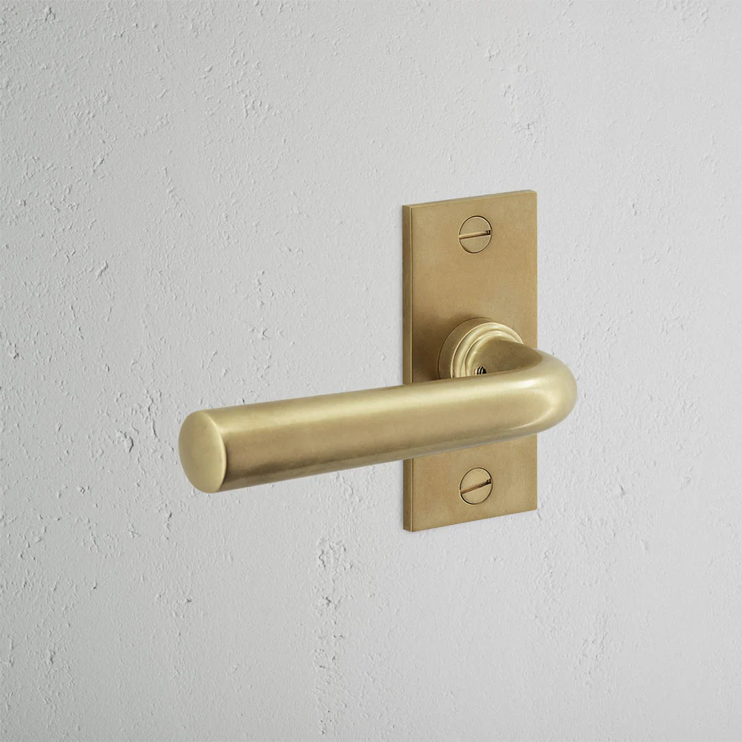 Apsley Short Plate Sprung Door Handle – Antique Brass - Image 2