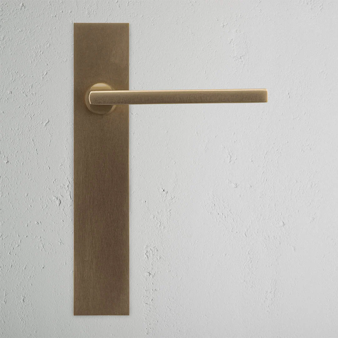 Clayton Long Plate Fixed Door Handle - Antique Brass - Image 2