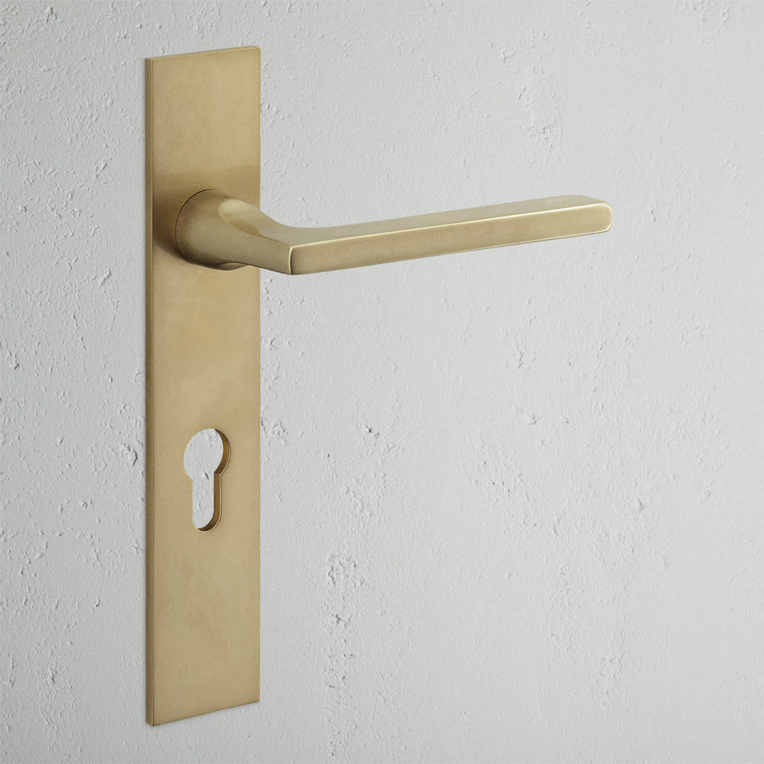 Clayton Long Plate Fixed Door Handle – Antique Brass 