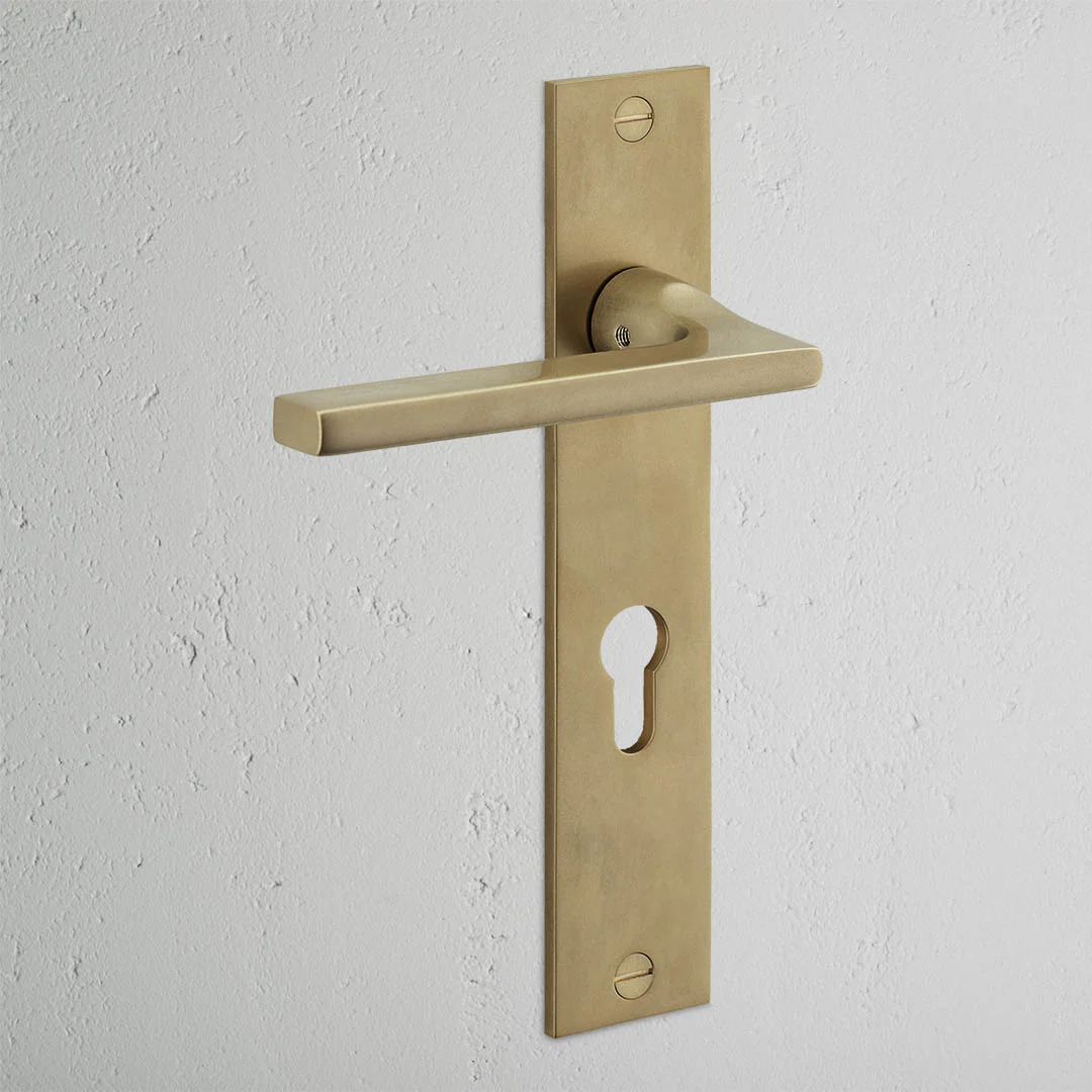 Clayton Long Plate Fixed Door Handle – Antique Brass  - Image 2