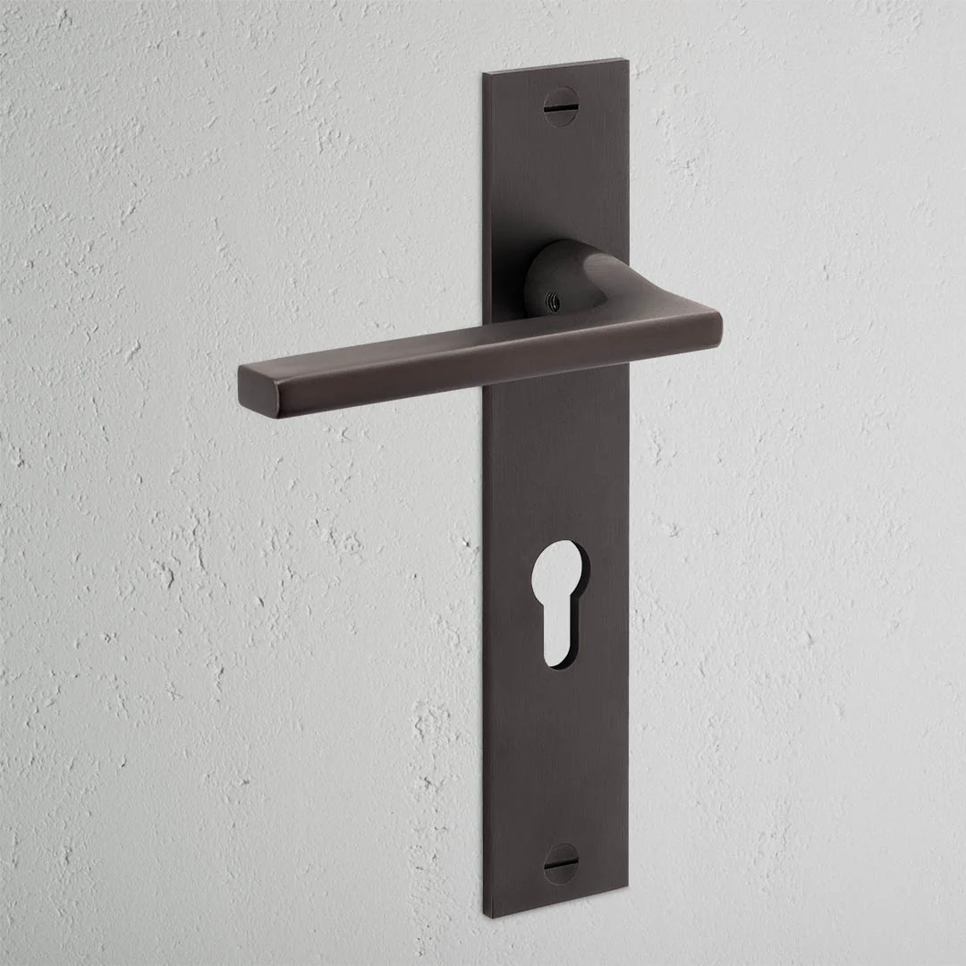 Clayton Long Plate Sprung Door Handle & Euro Lock – Bronze   - Image 2