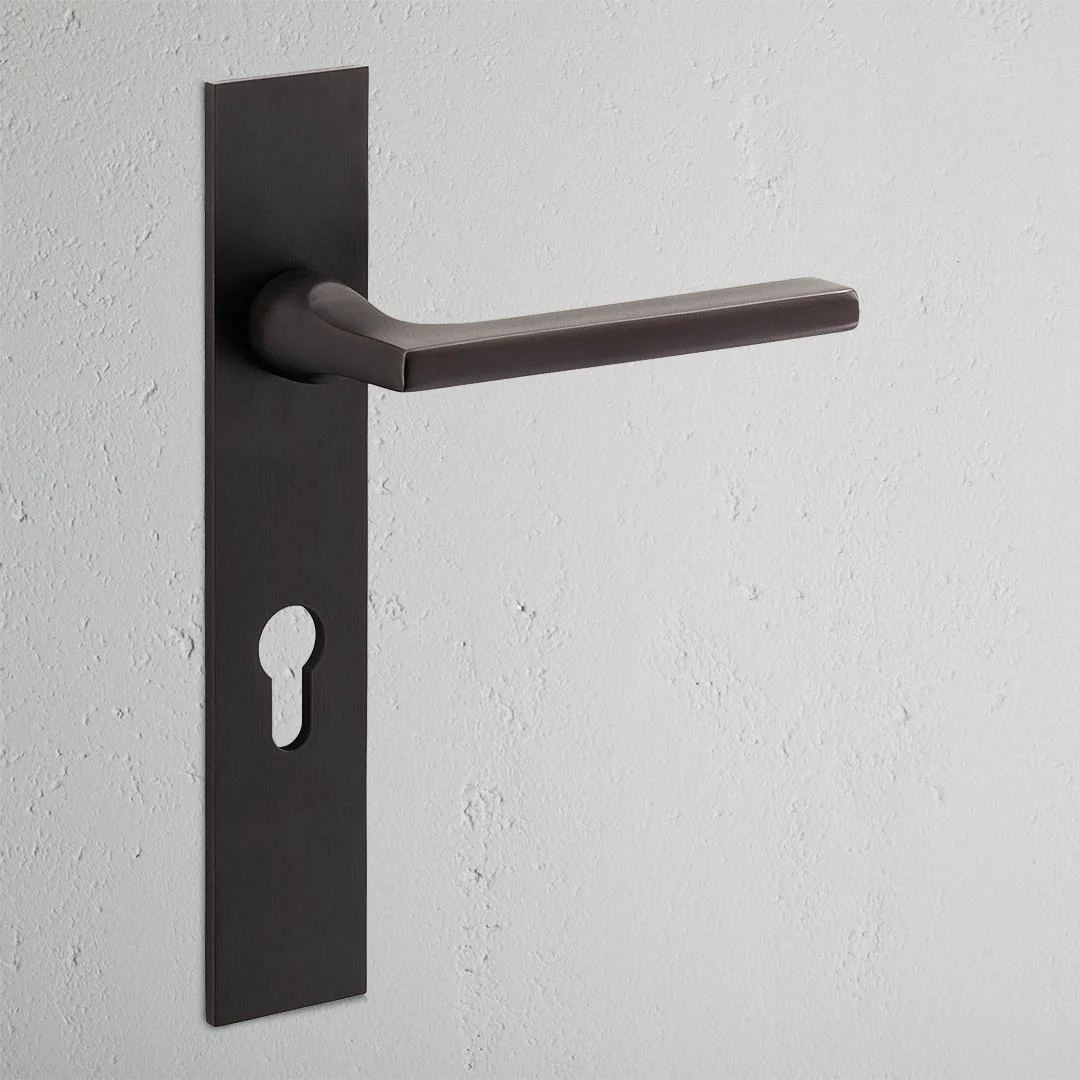 Clayton Long Plate Sprung Door Handle & Euro Lock - Bronze