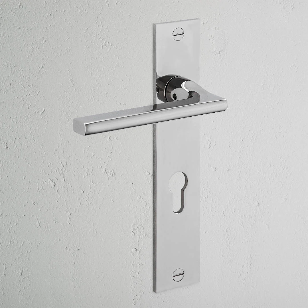 Clayton Long Plate Sprung Door Handle & Euro Lock - Polished Nickel - Image 2