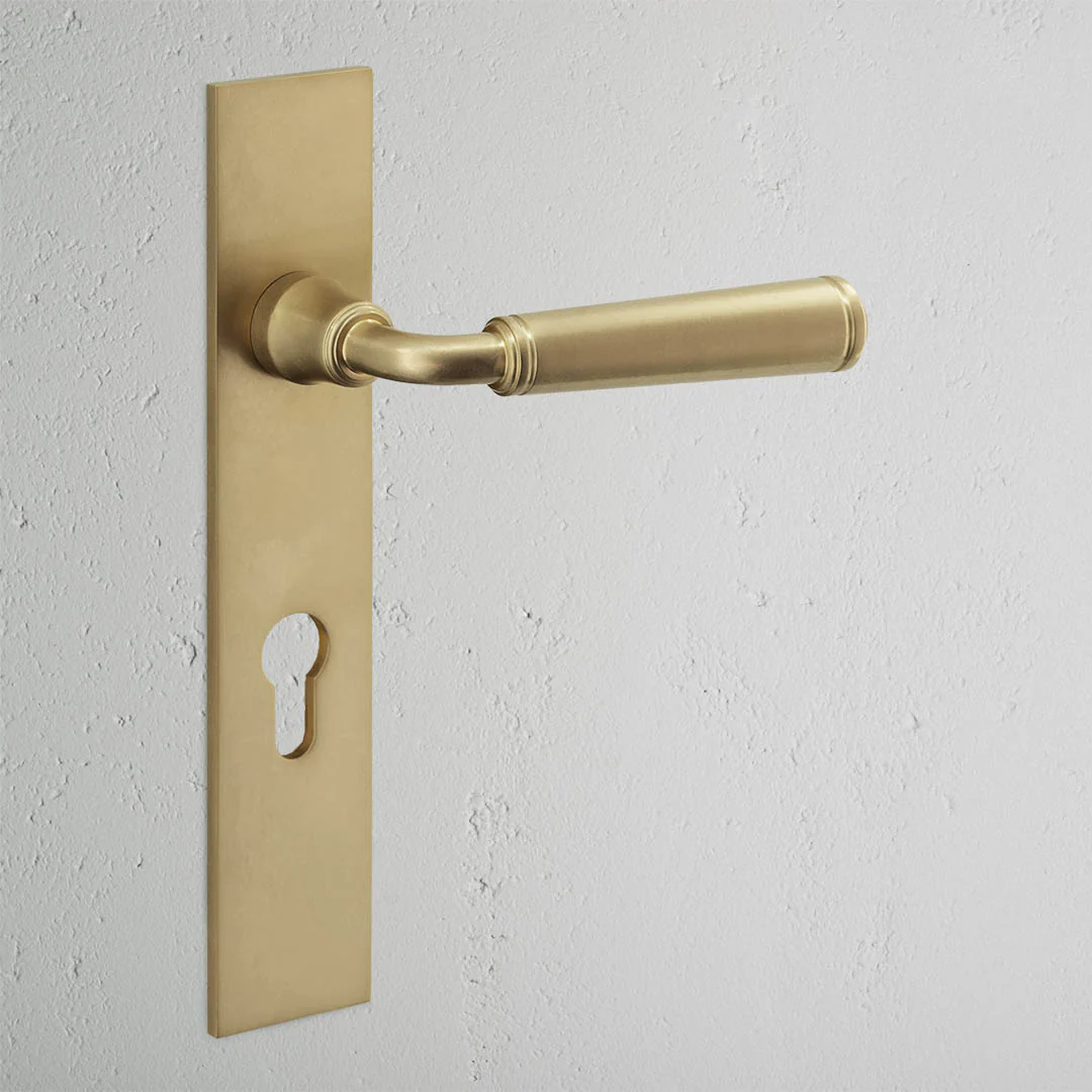 Digby Long Plate Sprung Door Handle & Euro Lock – Antique Brass