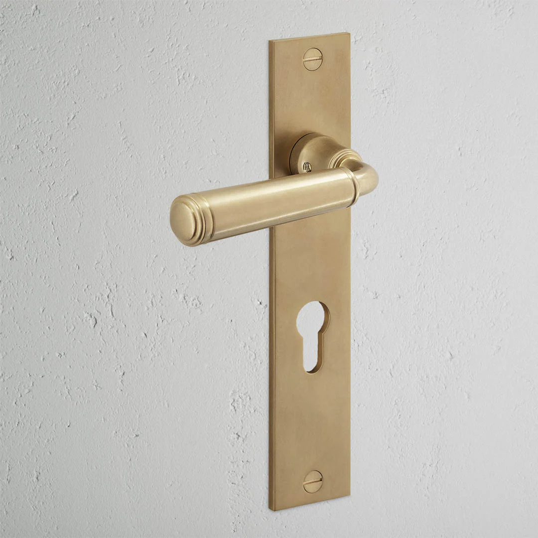 Digby Long Plate Sprung Door Handle & Euro Lock – Antique Brass - Image 2