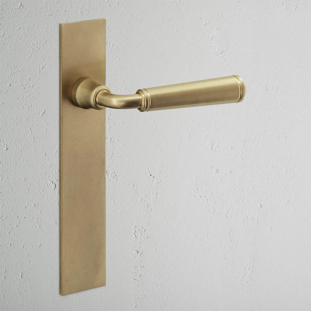 Digby Long Plate Sprung Door Handle - Antique Brass