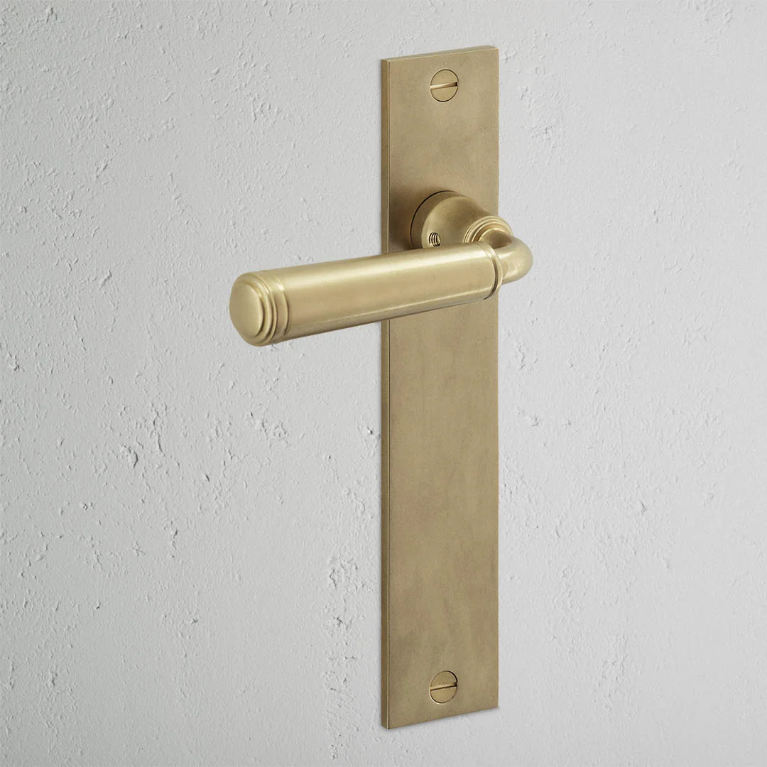 Digby Long Plate Sprung Door Handle – Antique Brass  - Image 2