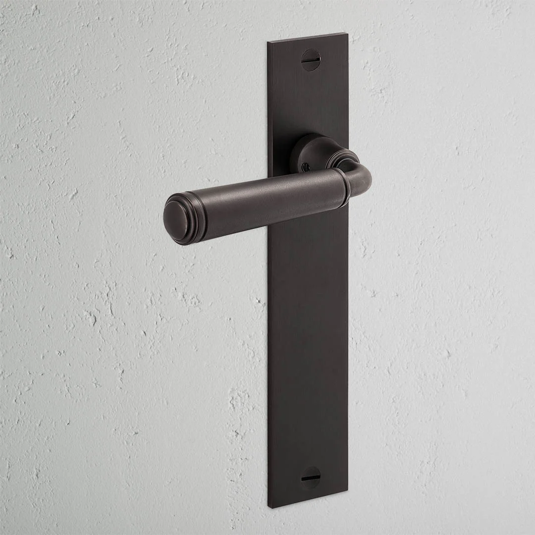 Digby Long Plate Sprung Door Handle - Bronze - Image 2