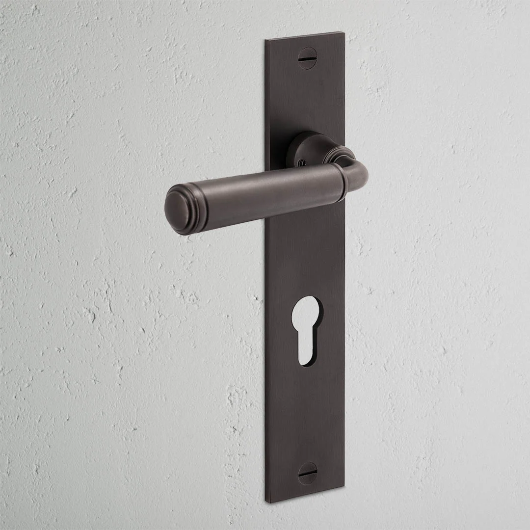 Digby Long Plate Sprung Door Handle & Euro Lock - Bronze - Image 2