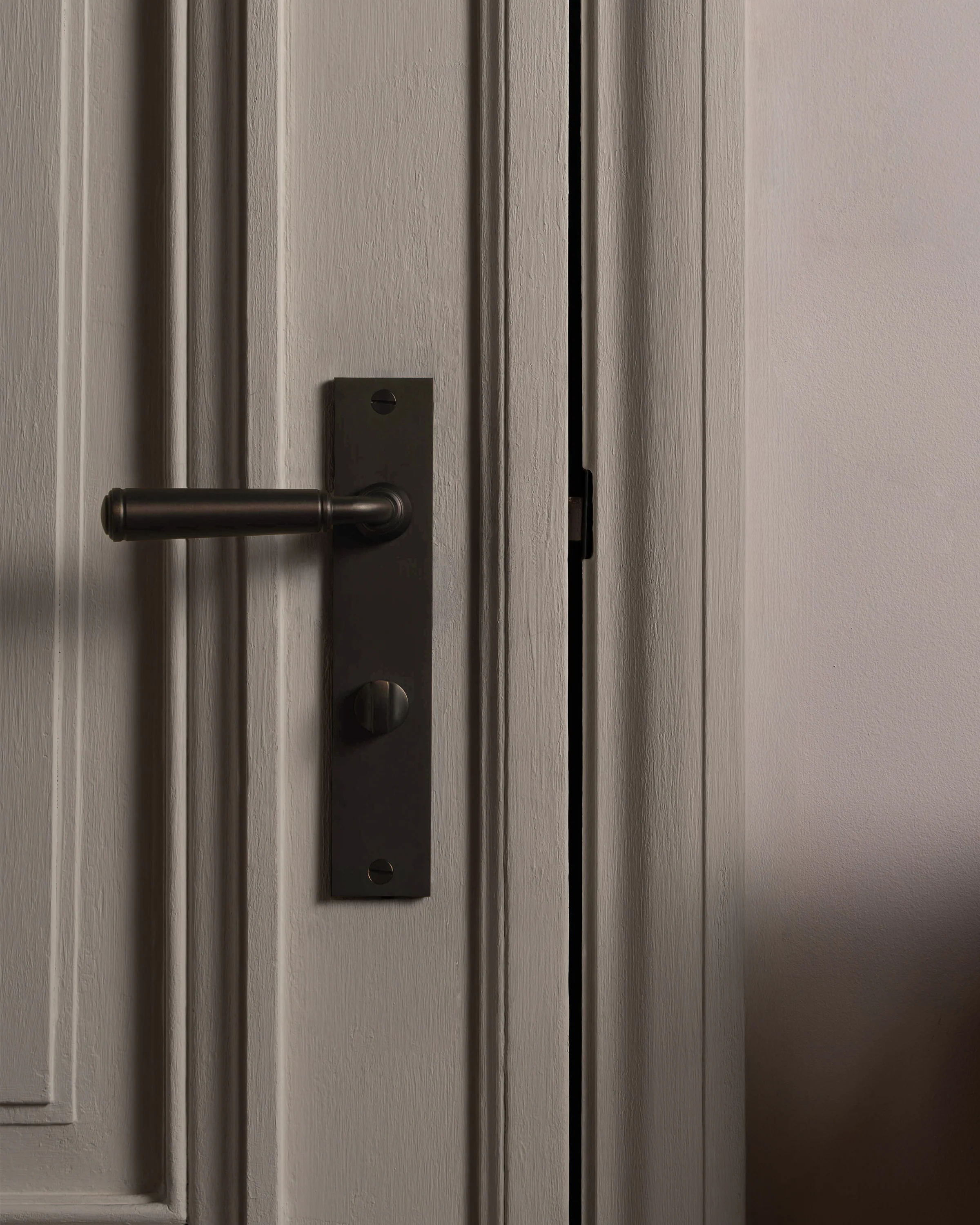 Digby Long Plate Sprung Door Handle & Thumbturn - Bronze - Image 3