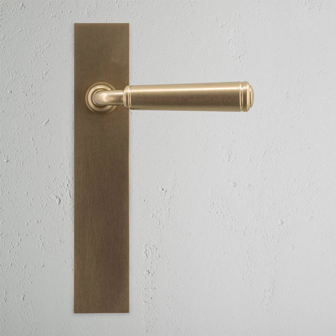 Digby Long Plate Unsprung Door Handle - Antique Brass - Image 2