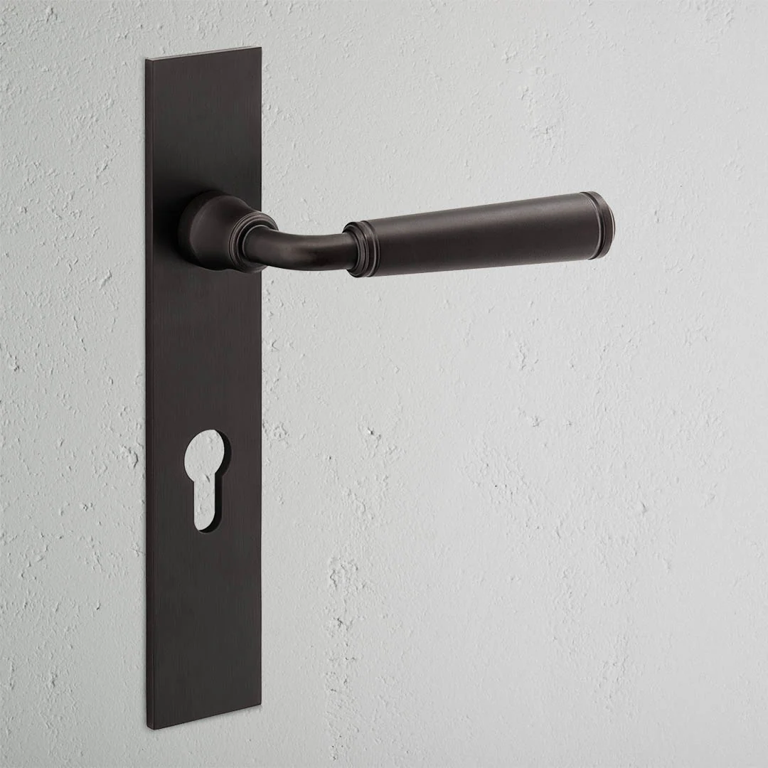 Digby Long Plate Unsprung Door Handle & Euro Lock – Bronze