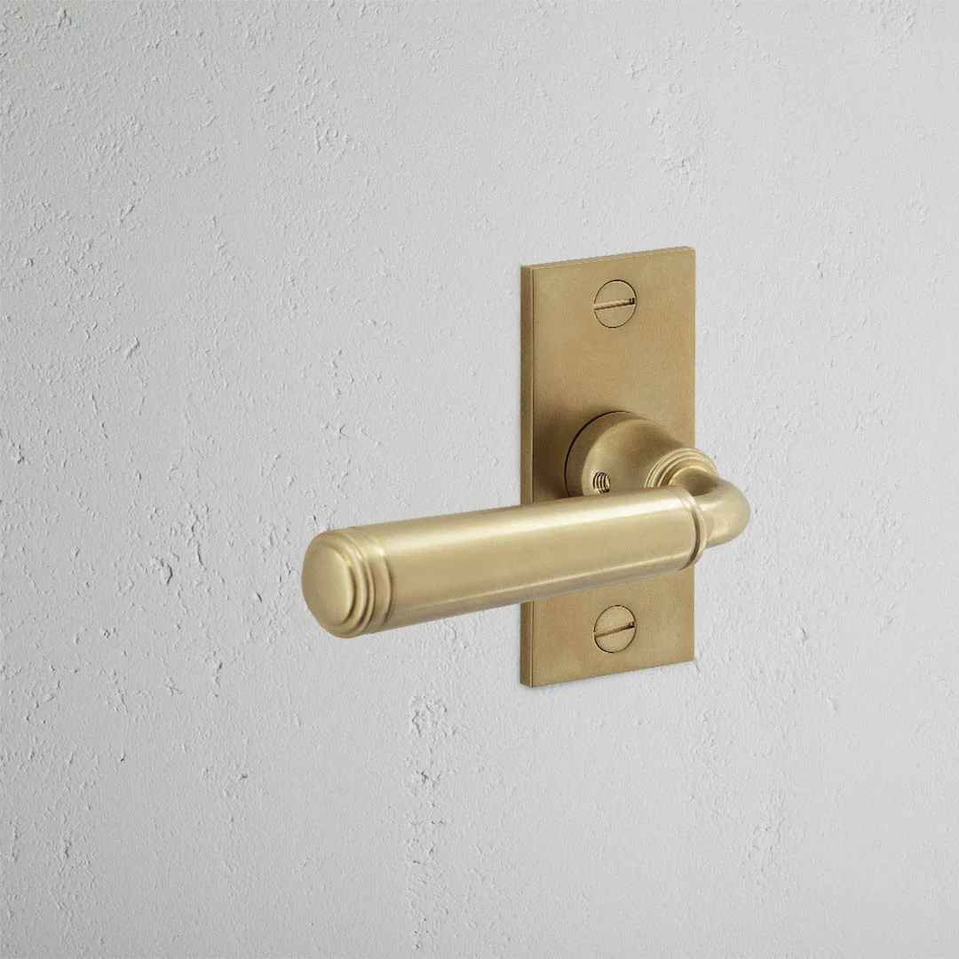 Digby Short Plate Sprung Door Handle - Antique Brass - Image 2
