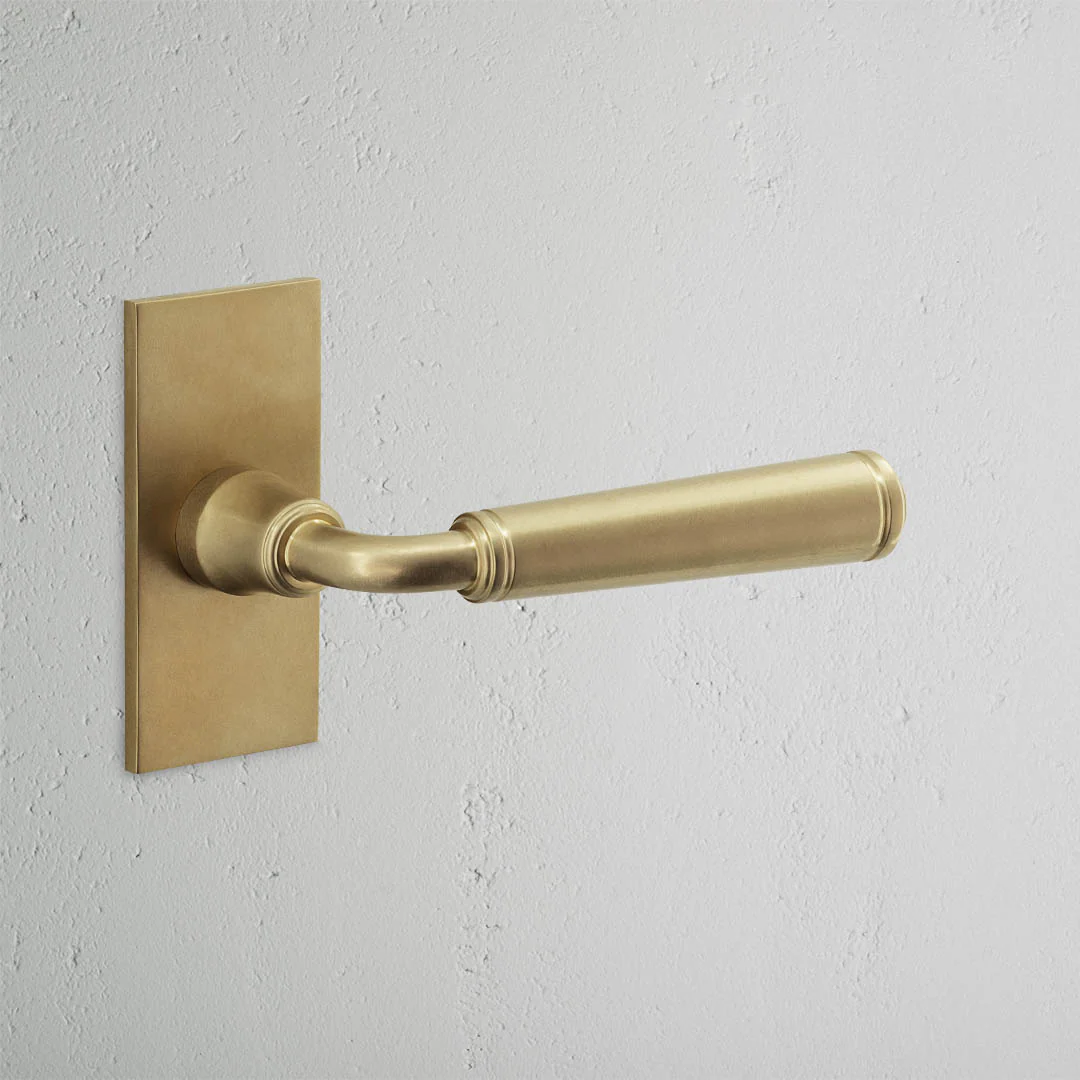 Digby Short Plate Unsprung Door Handle - Antique Brass
