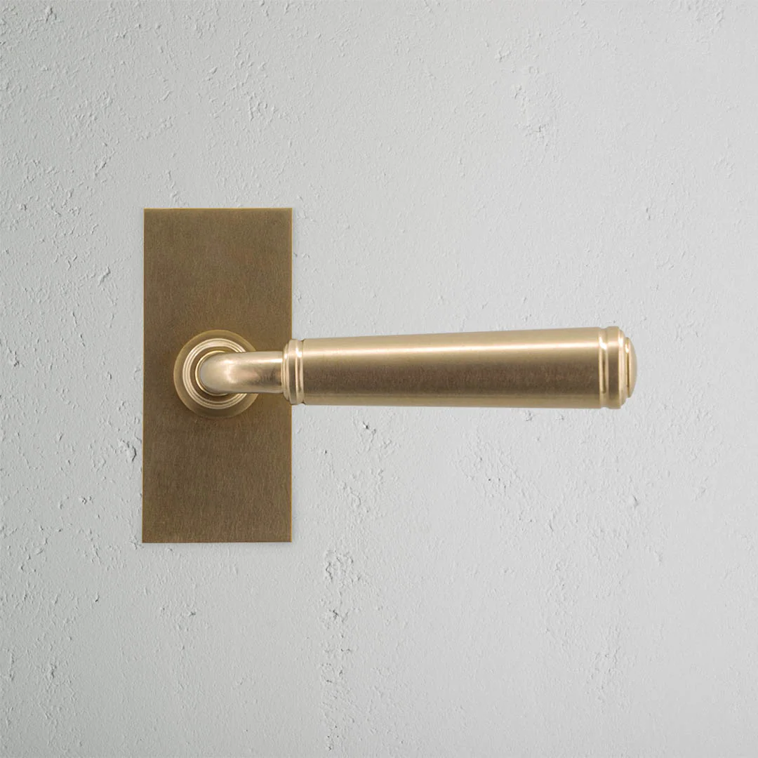 Digby Short Plate Unsprung Door Handle - Antique Brass - Image 2