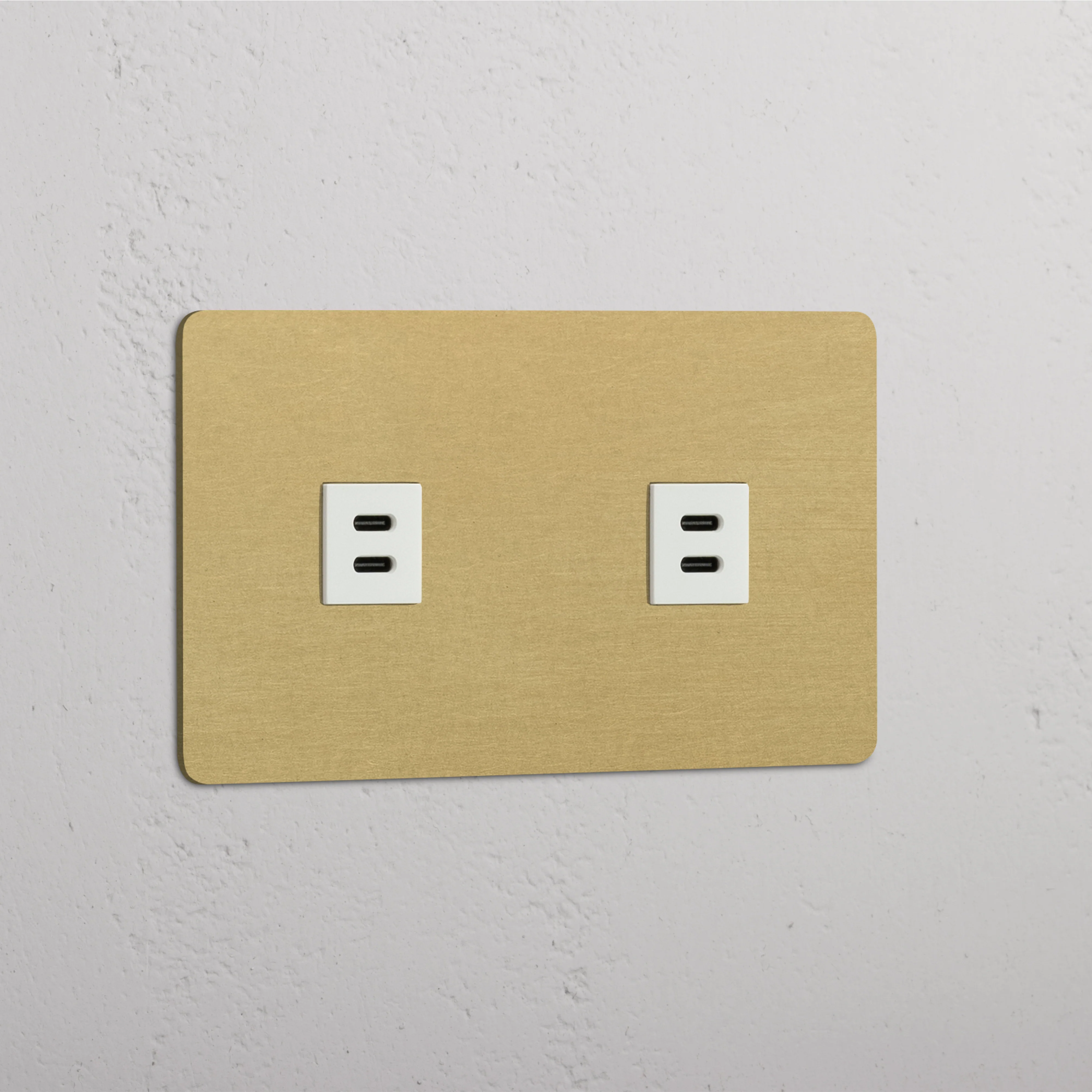 Kew Double 2x USB-C 30W Socket - Antique Brass | White