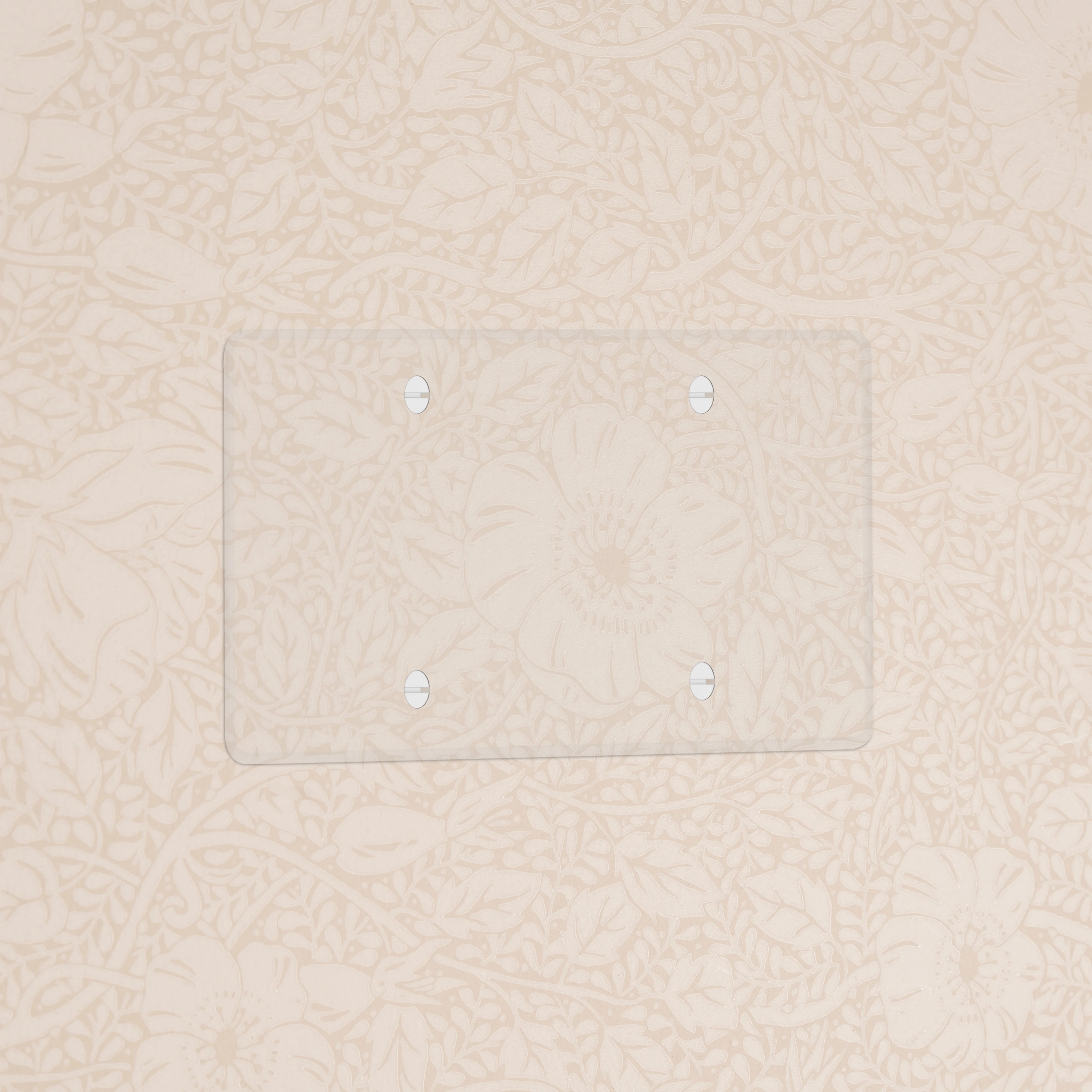 Kew Double Blank Plate - Clear | White