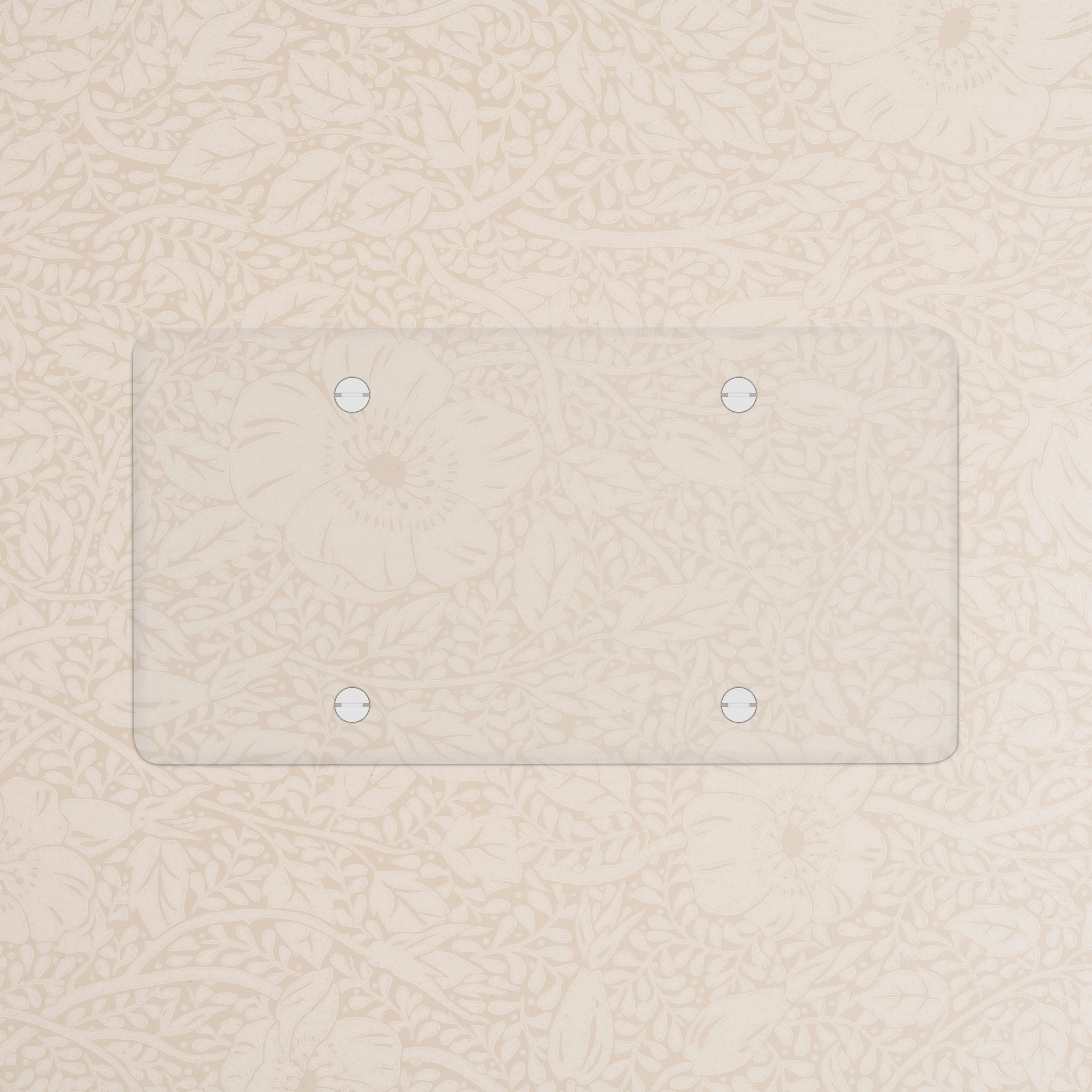 Kew Double Blank Plate - Clear | White - Image 2