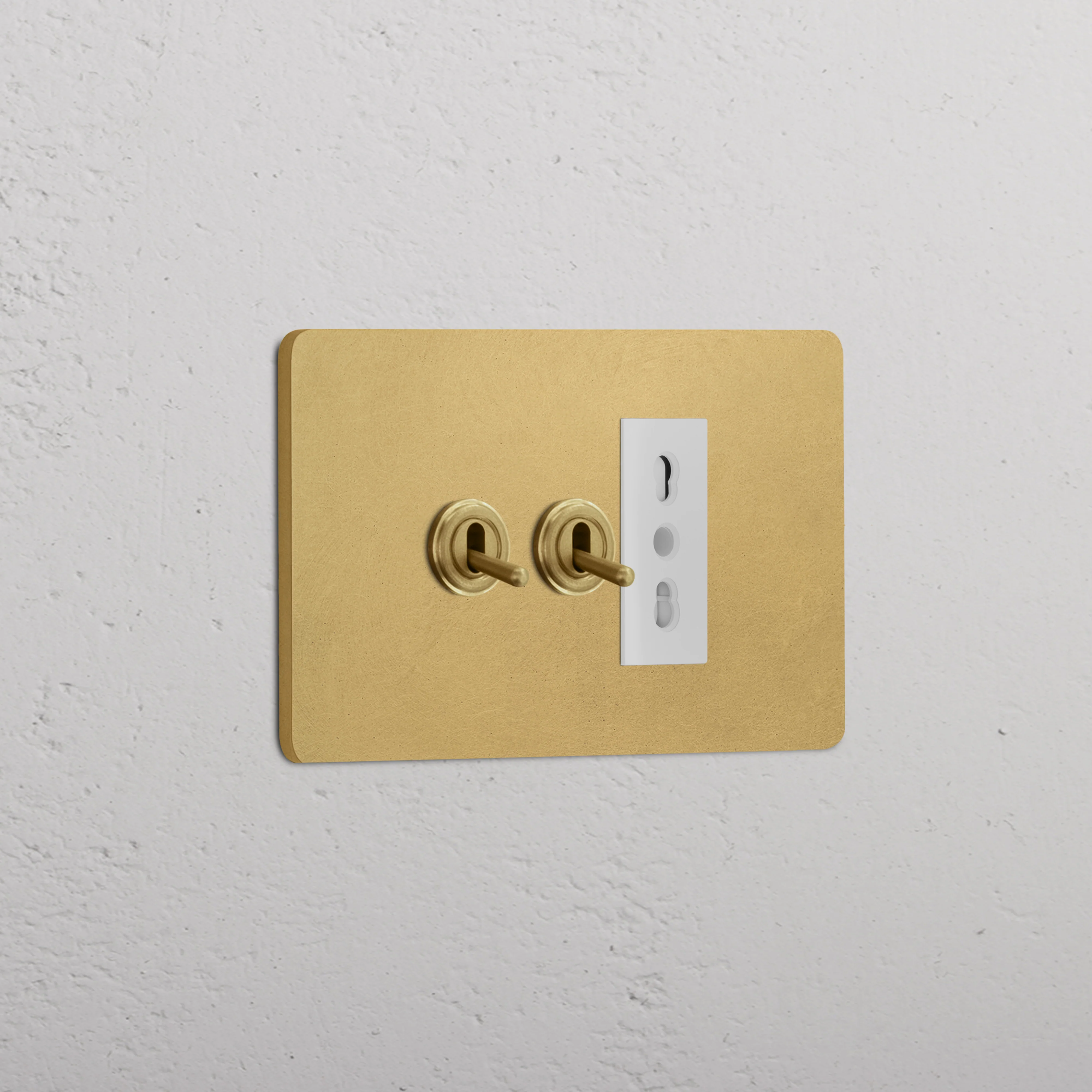 Grove 3-Module 2x Toggle Switch & Bipasso Socket - Antique Brass | White