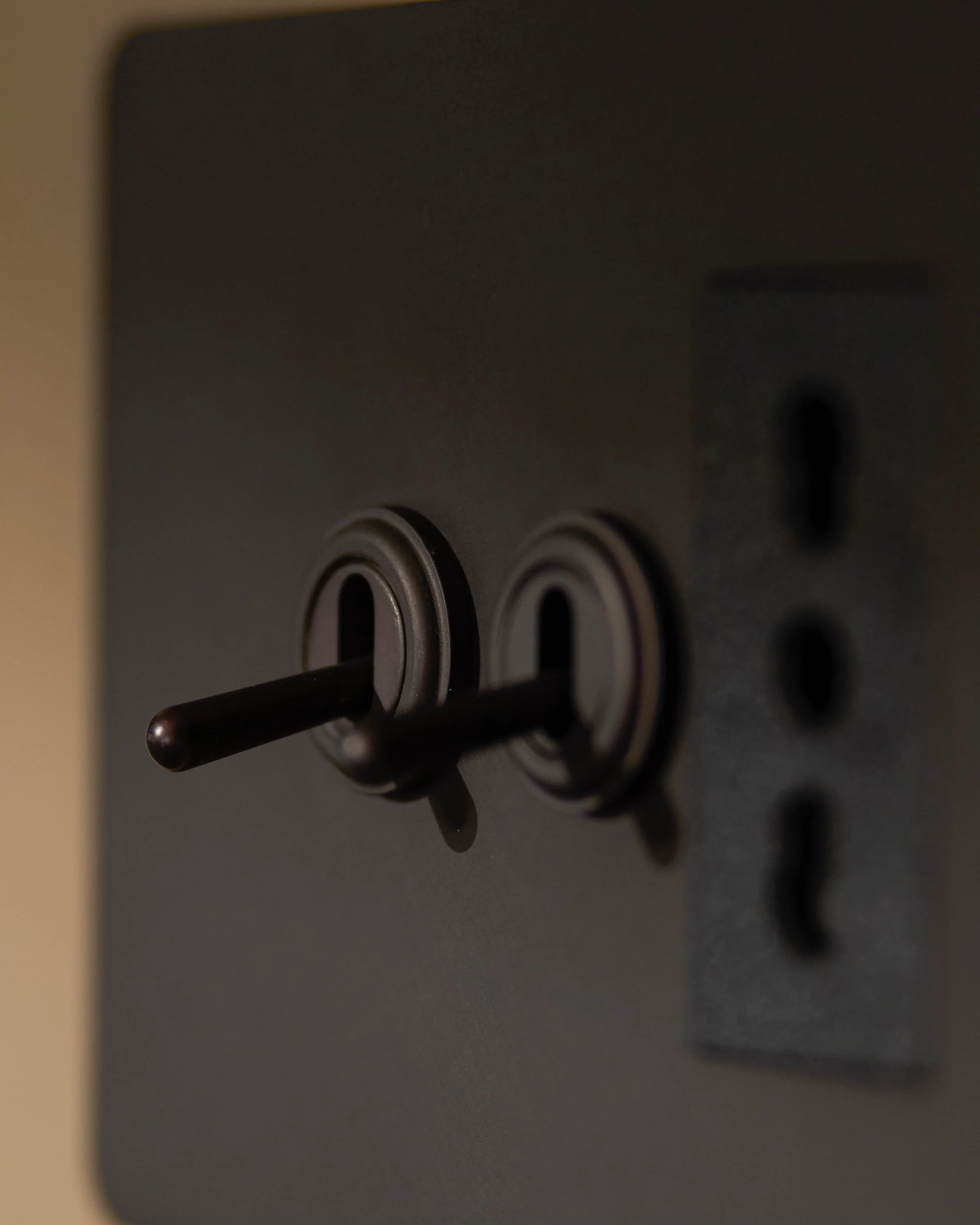 Grove 3-Module 2x Toggle Switch & Bipasso Socket - Bronze | Black - Image 4
