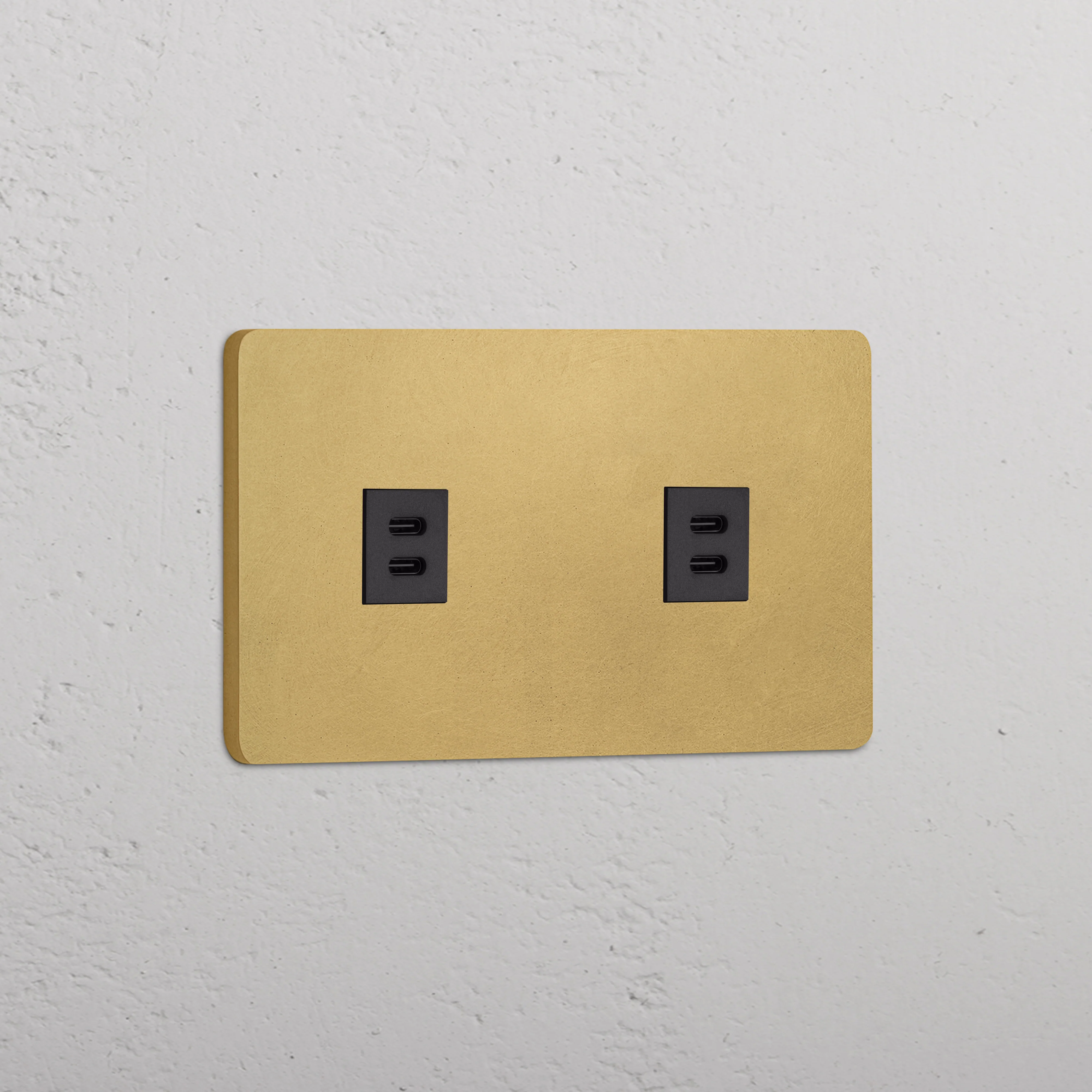 Grove Double 2x USB-C 30W Socket - Antique Brass | Black