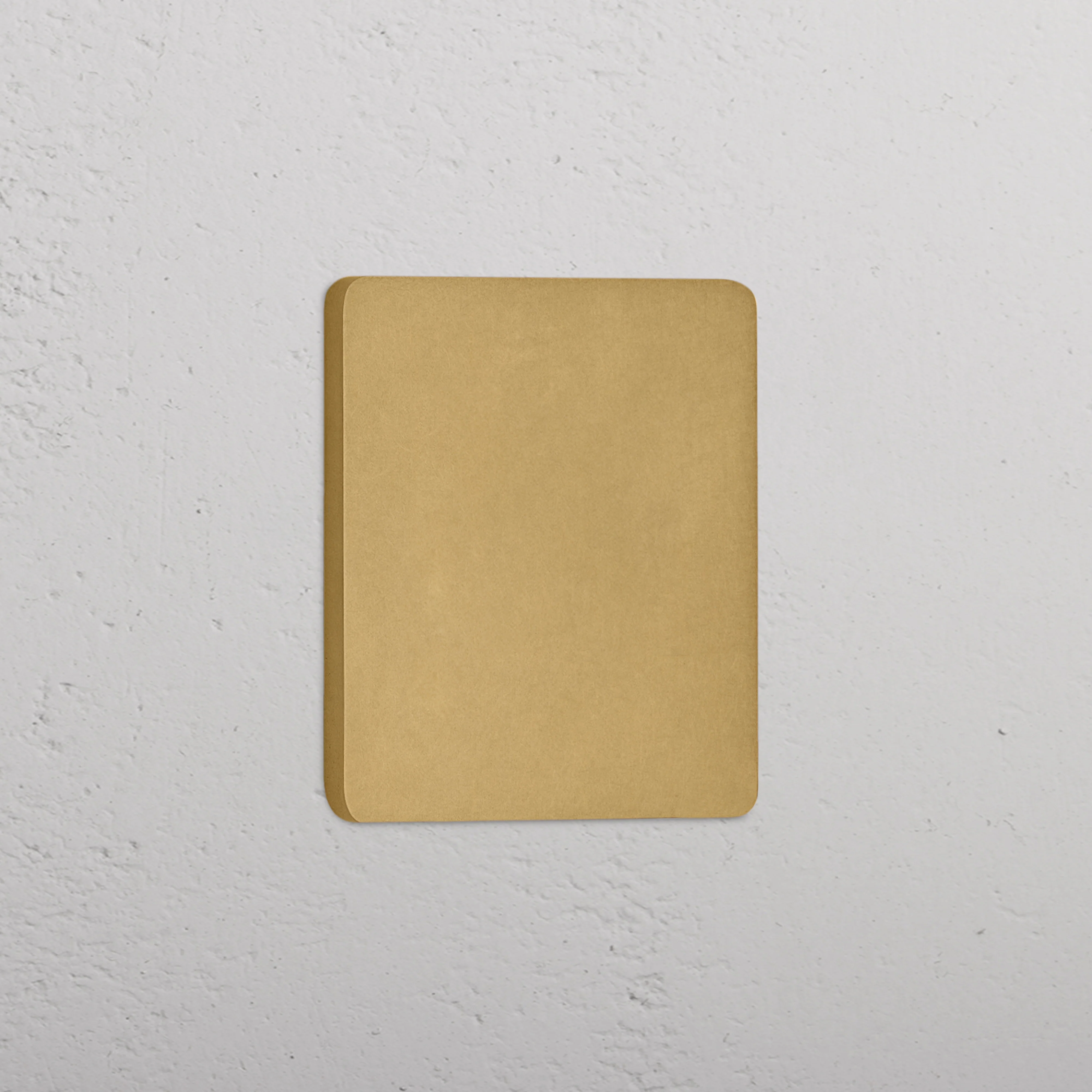 Grove Single Blank Plate - Antique Brass