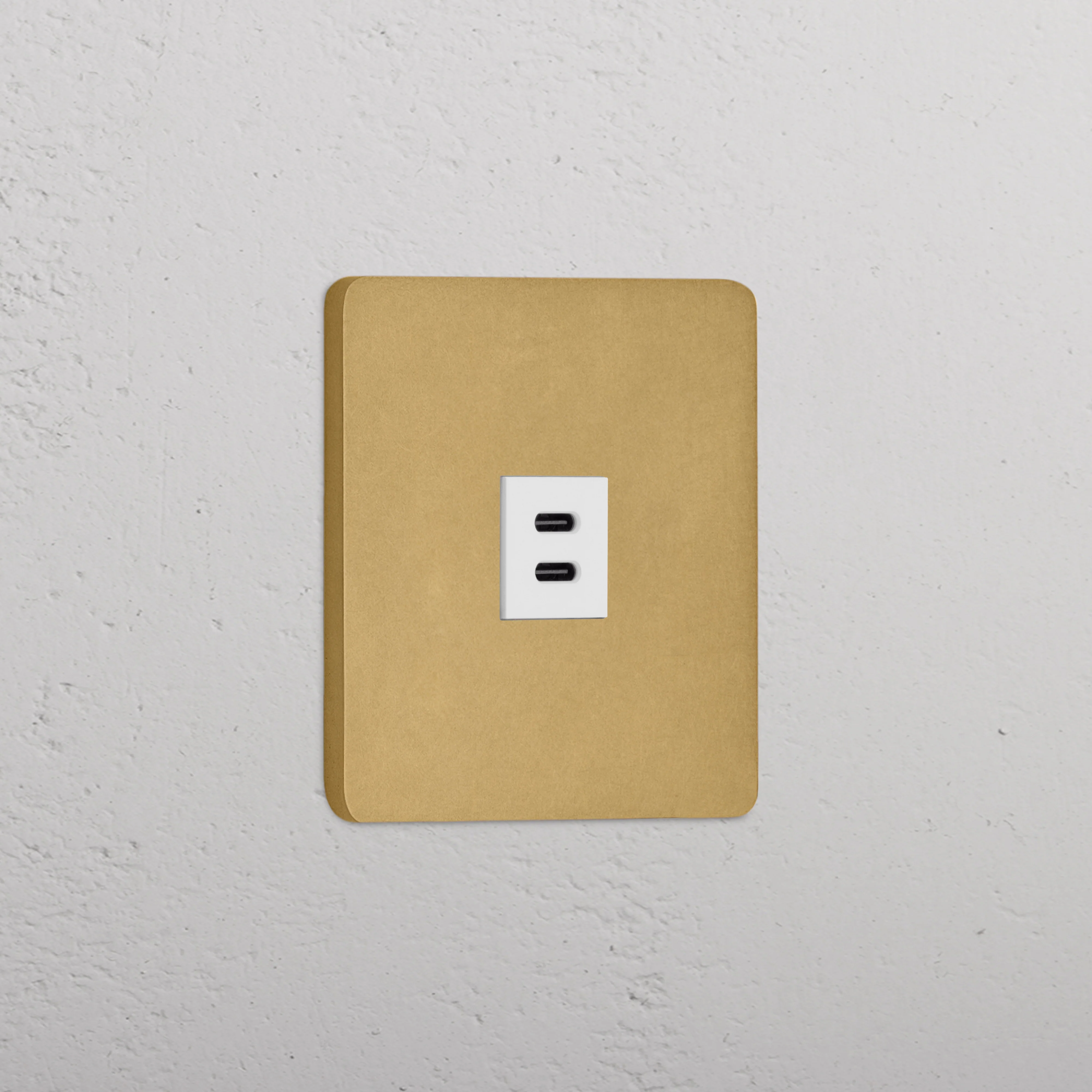 Grove Single USB-C 30W Socket - Antique Brass | White