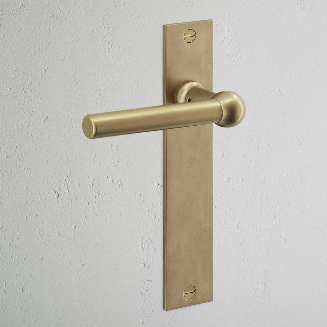 Harper Long Plate Fixed Door Handle – Antique Brass - Image 2