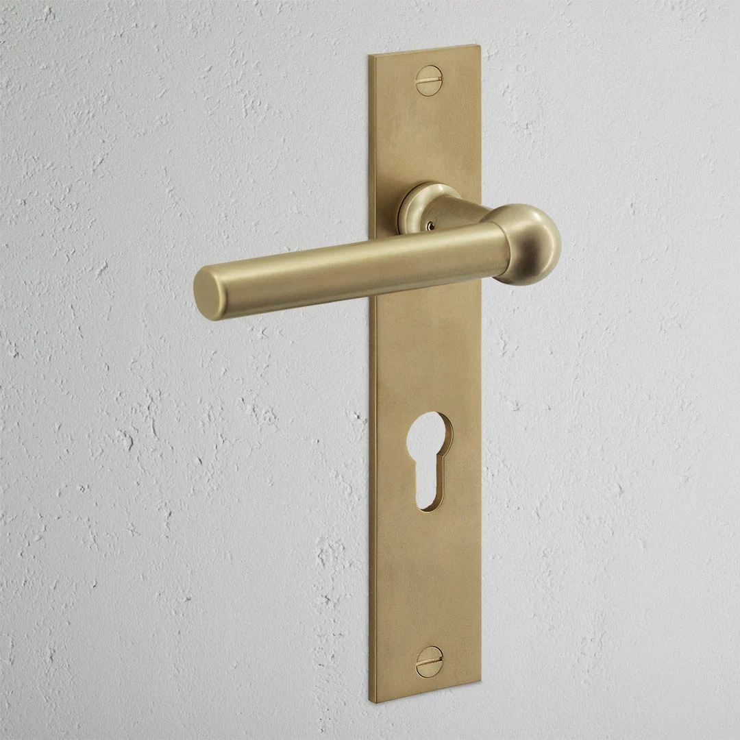 Harper Long Plate Sprung Door Handle & Euro Lock – Antique Brass  - Image 2
