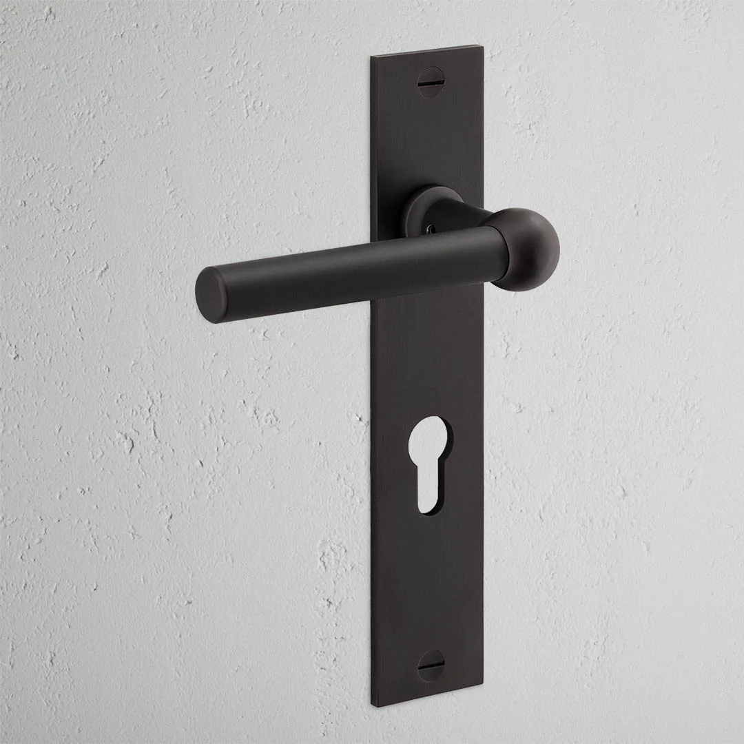Harper Long Plate Sprung Door Handle & Euro Lock – Bronze  - Image 2
