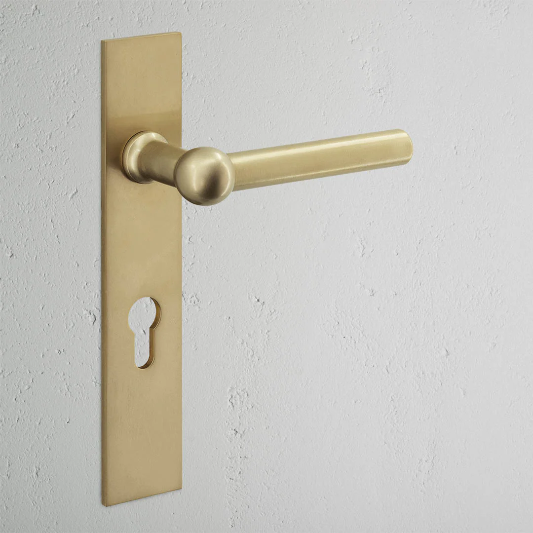 Harper Long Plate Unsprung Door Handle & Euro Lock – Antique Brass