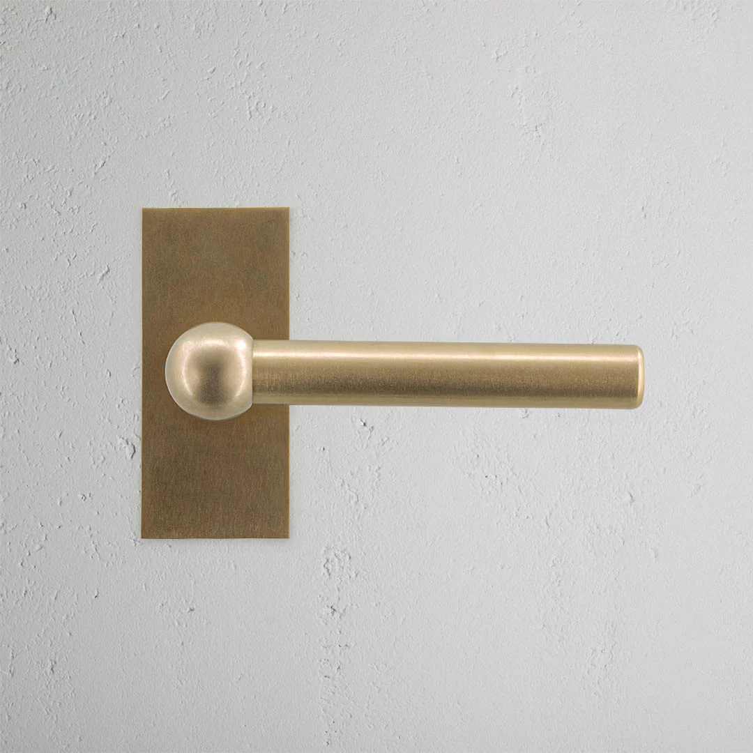 Harper Short Plate Fixed Door Handle - Antique Brass - Image 2