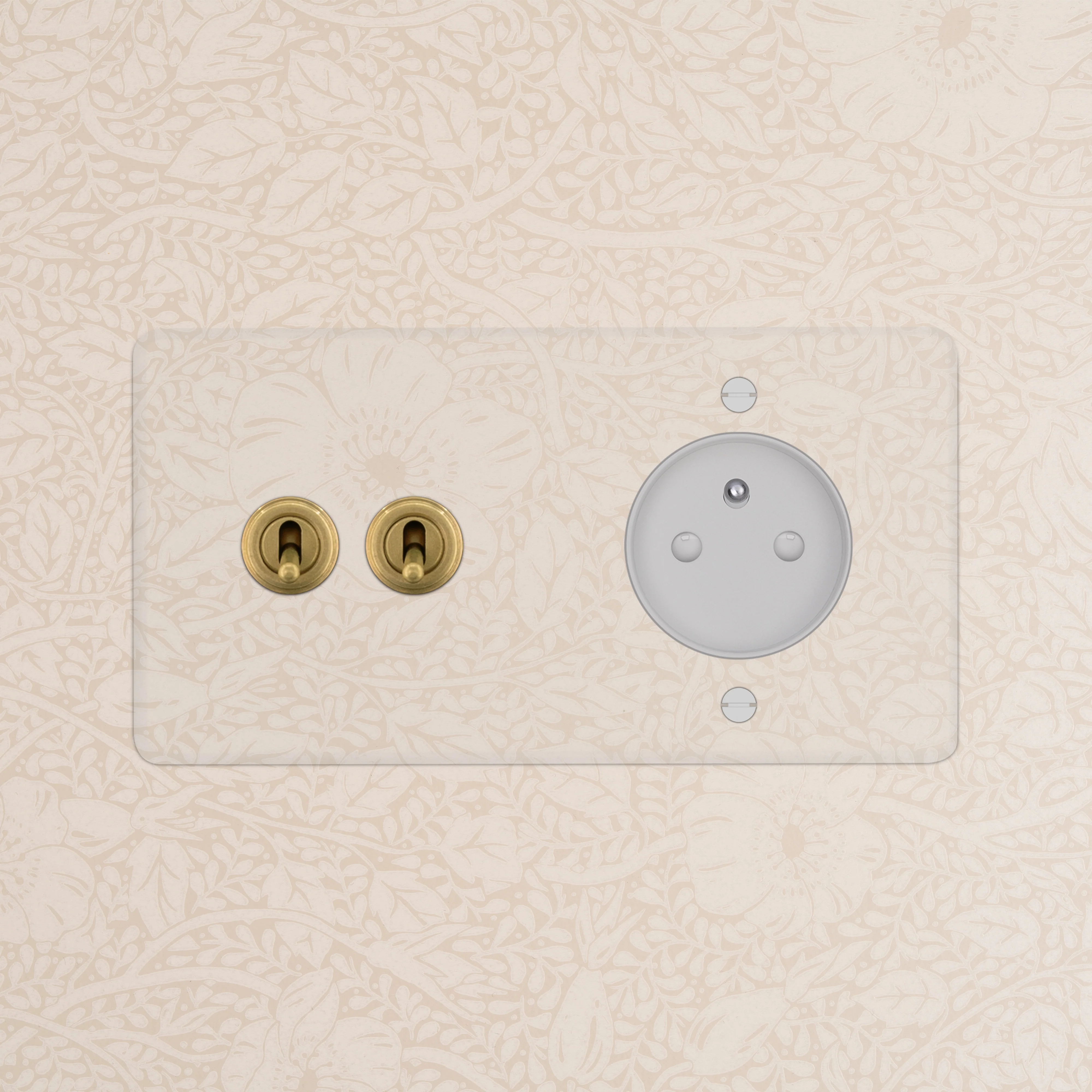 Kew Double 2x Toggle & French/Belgian Type E Socket - Clear Antique Brass | White - Image 2