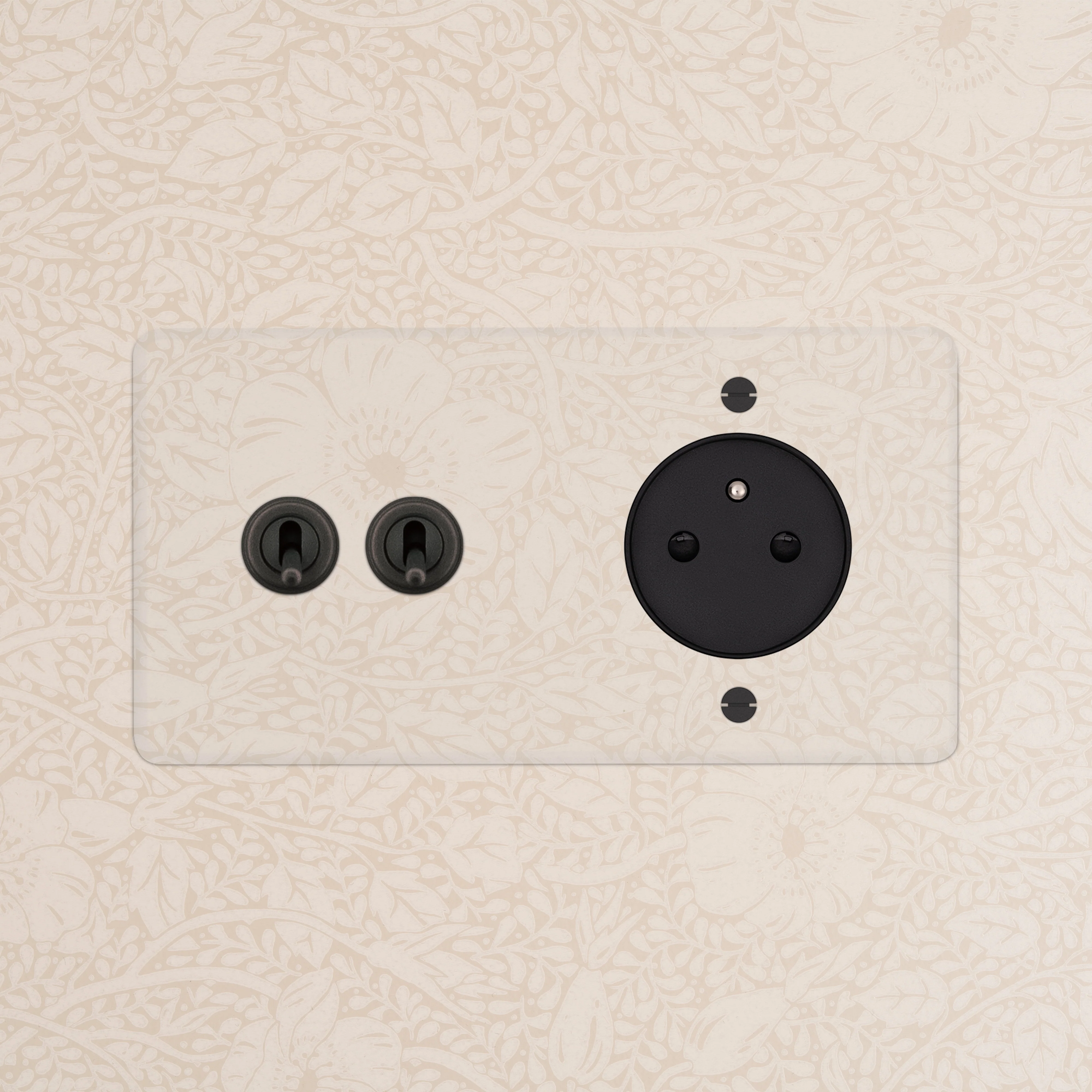 Kew Double 2x Toggle & French/Belgian Type E Socket - Clear Bronze | Black - Image 2