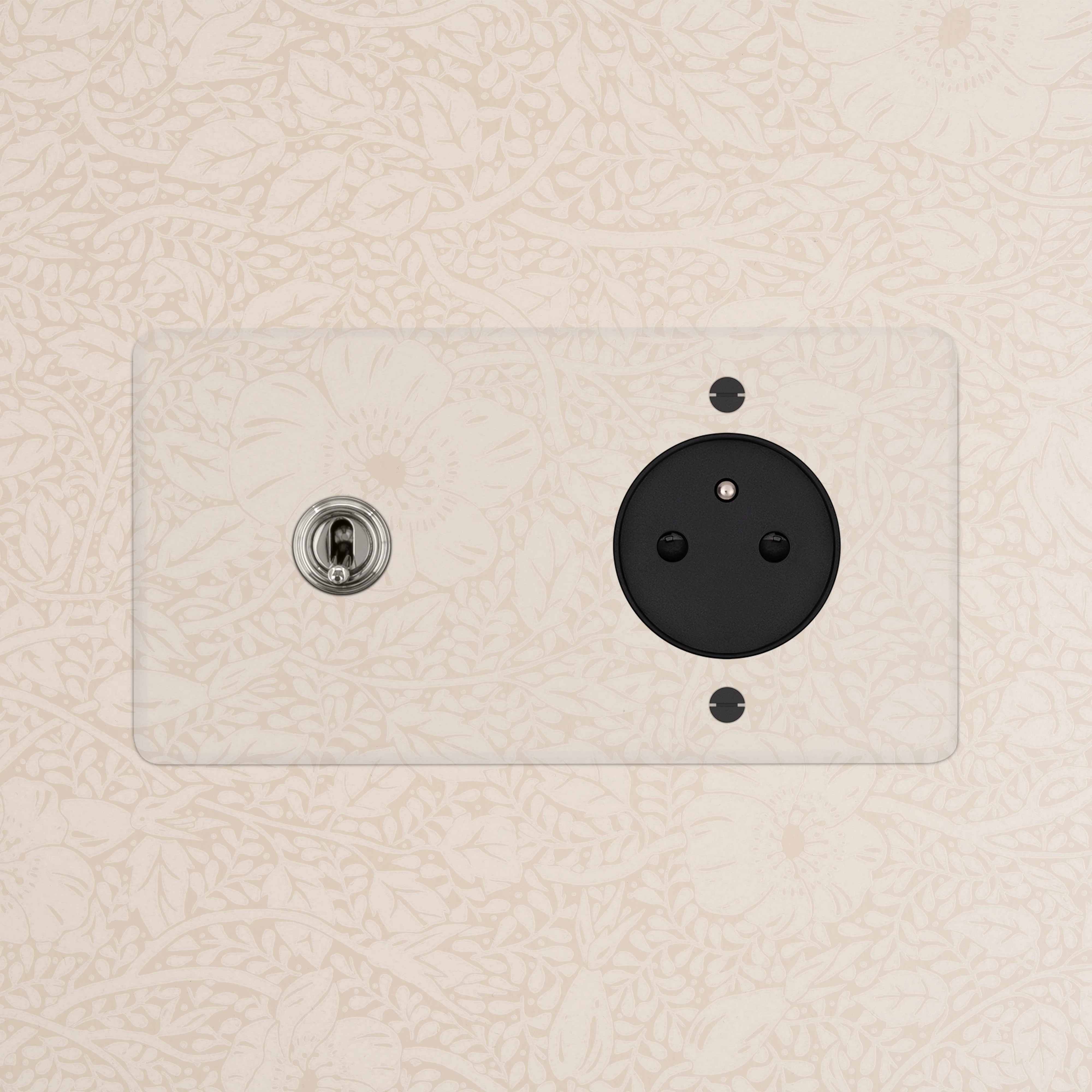 Kew Double Toggle & French/Belgian Type E Socket - Clear Polished Nickel | Black - Image 2