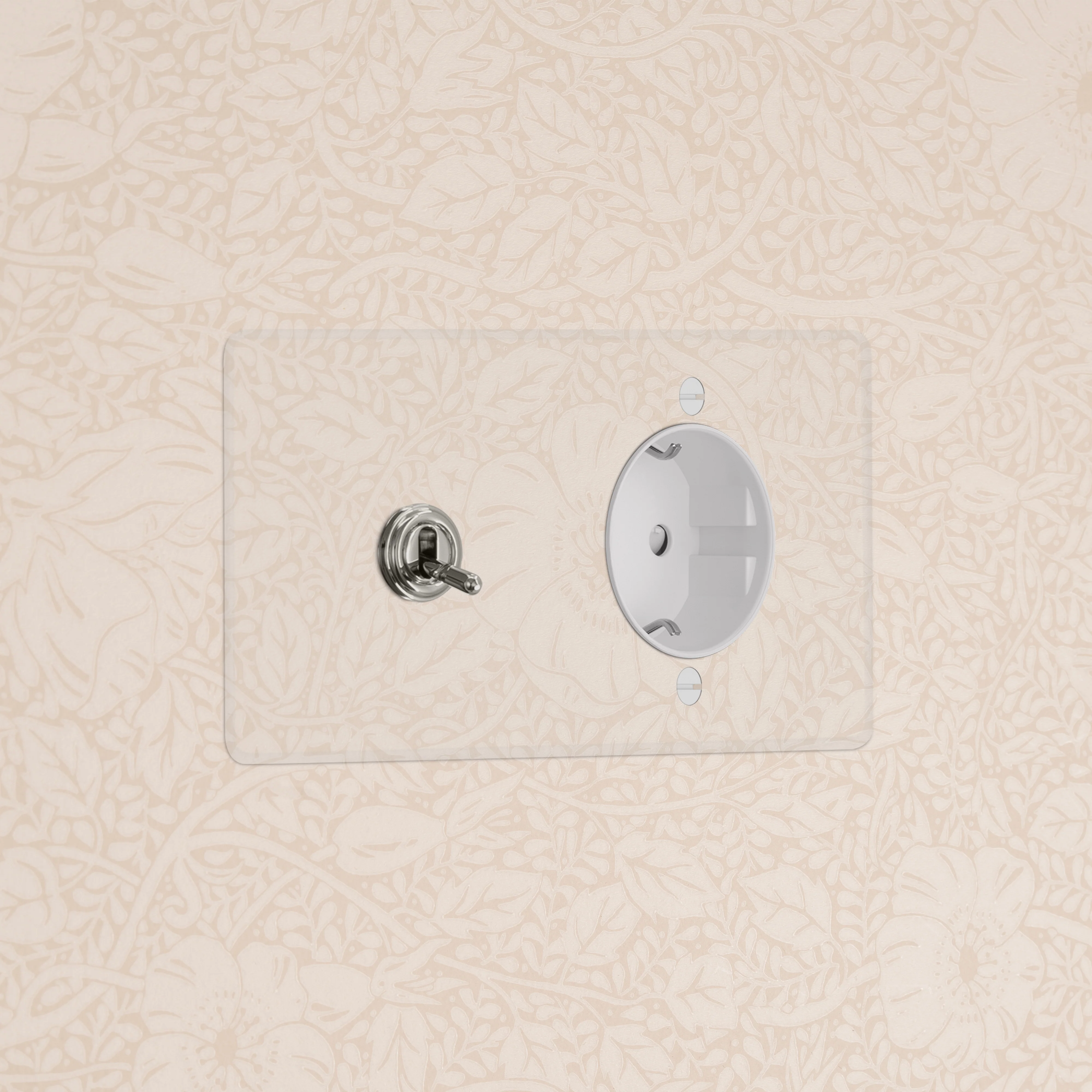 Kew Double Toggle & Schuko Type F Socket - Clear Polished Nickel | White