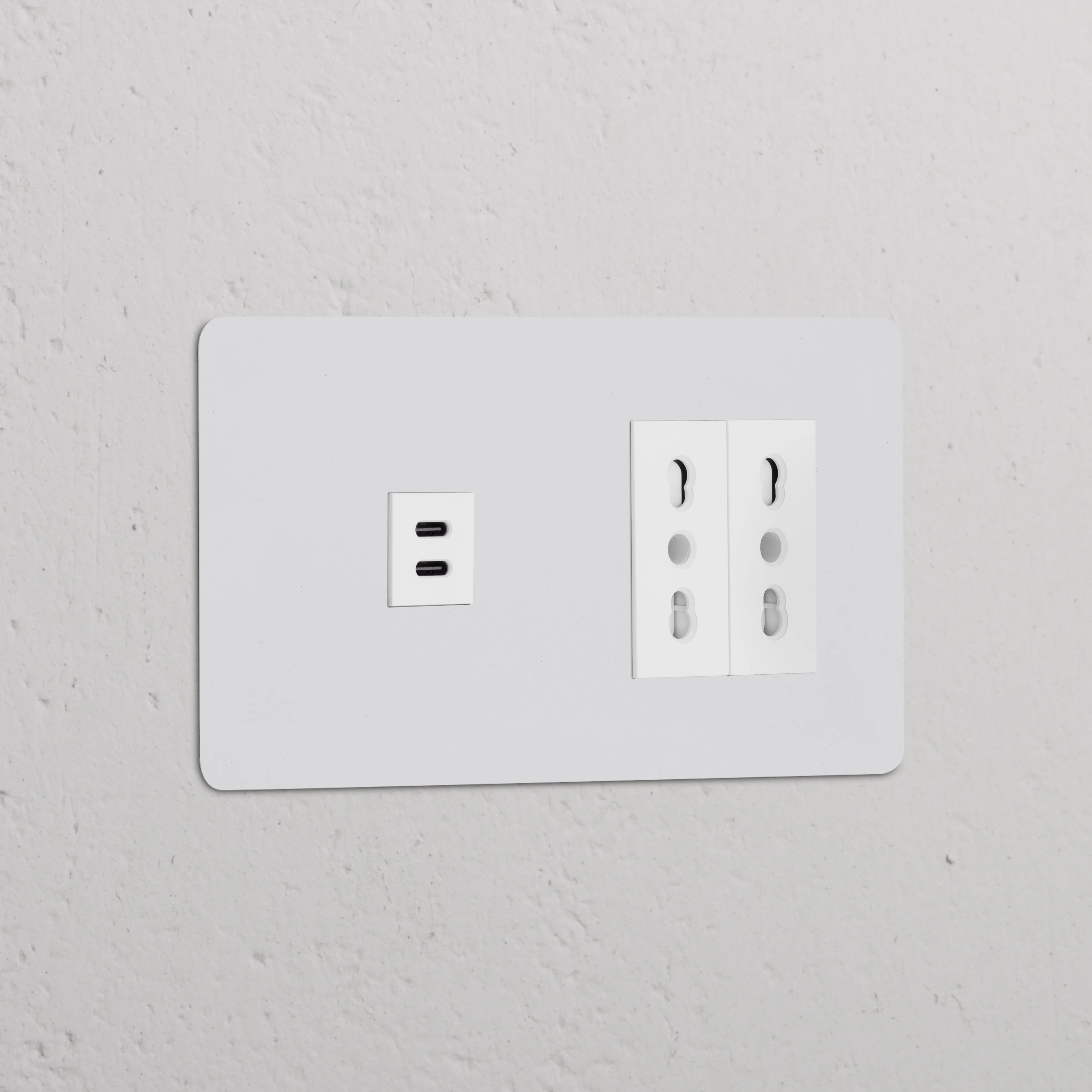 Kew Double USB-C 30W & 2x Bipasso Socket - Paintable | White