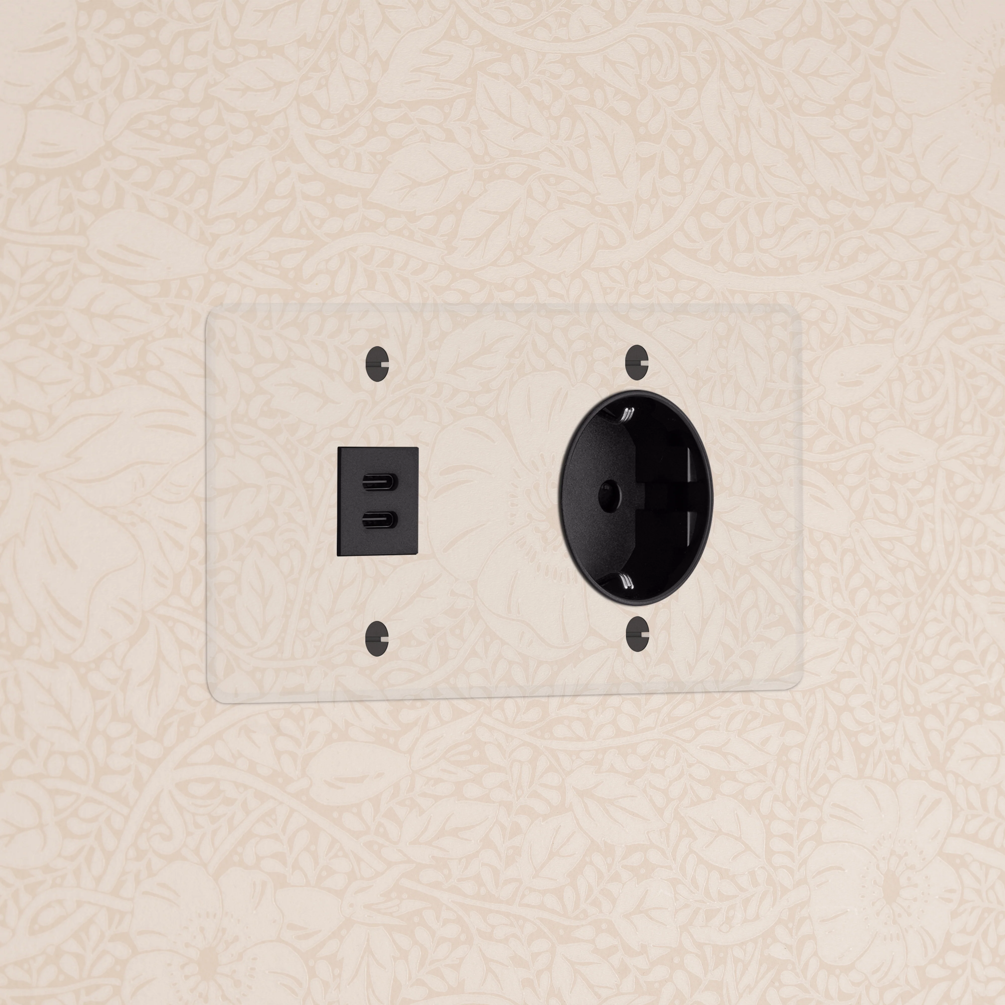 Kew Double USB-C 30W & Schuko Type F Socket - Clear | Black