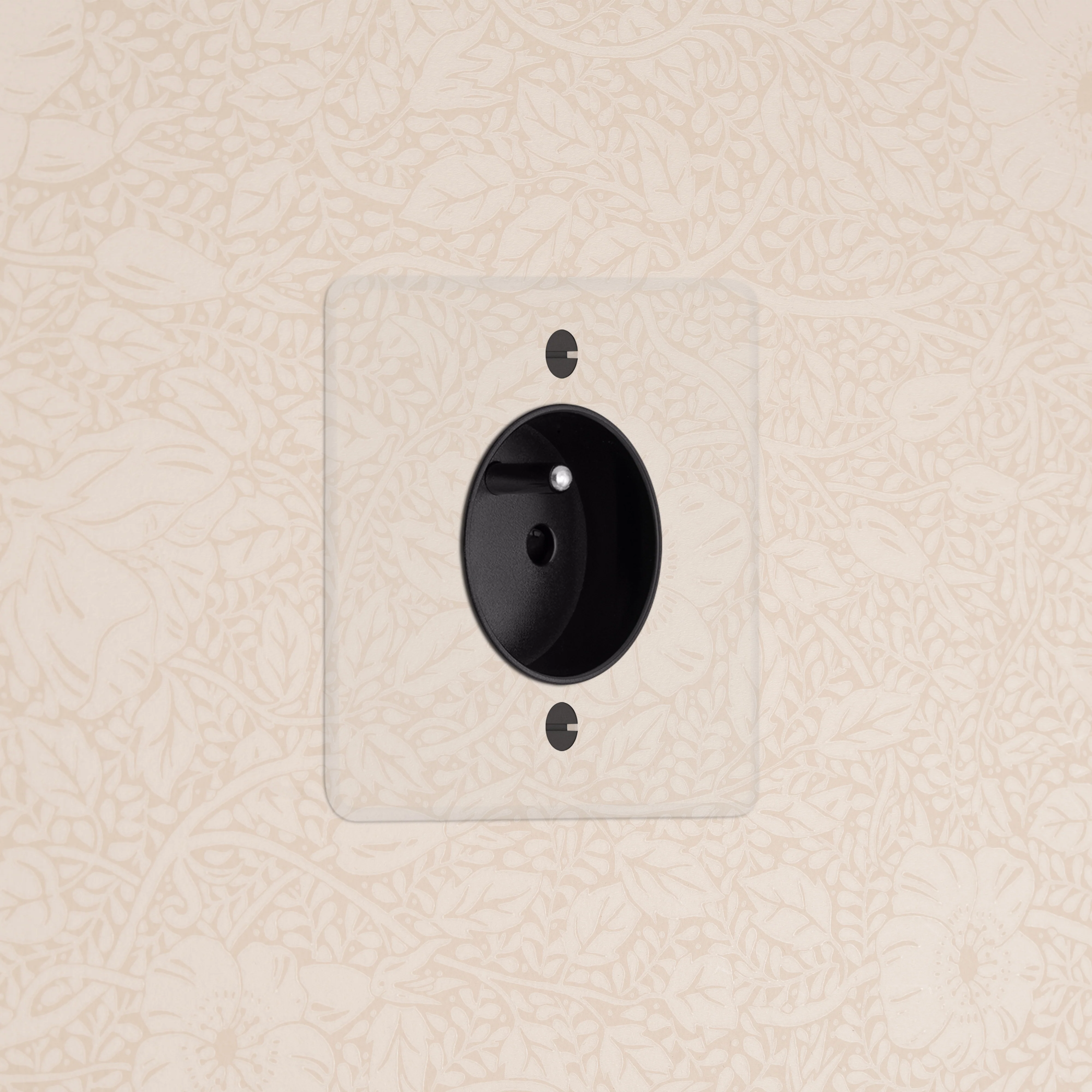 Kew Single French/Belgian Type E Socket - Clear | Black