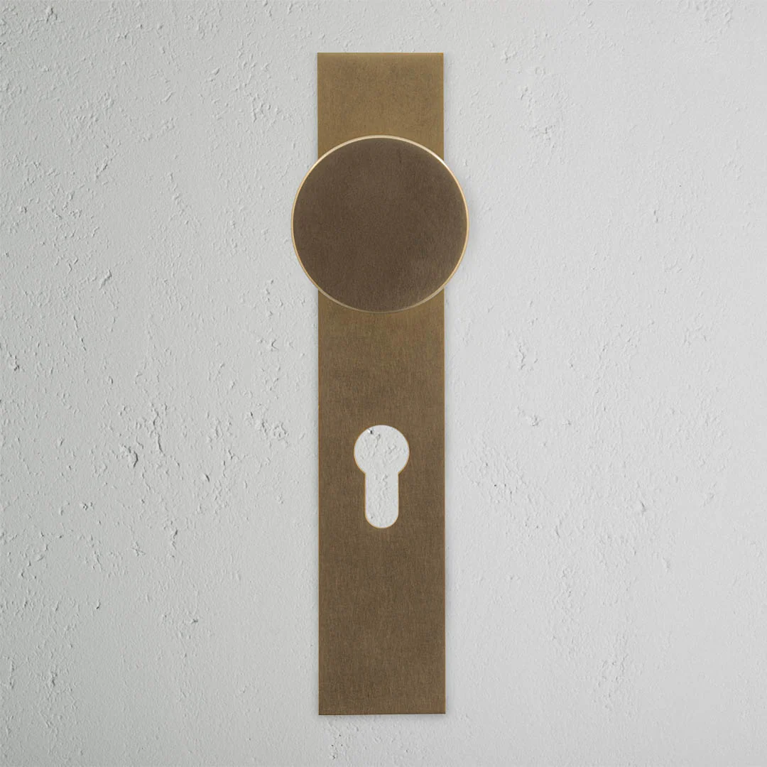 Onslow Long Plate Unsprung Door Handle & Euro Lock – Antique Brass - Image 2