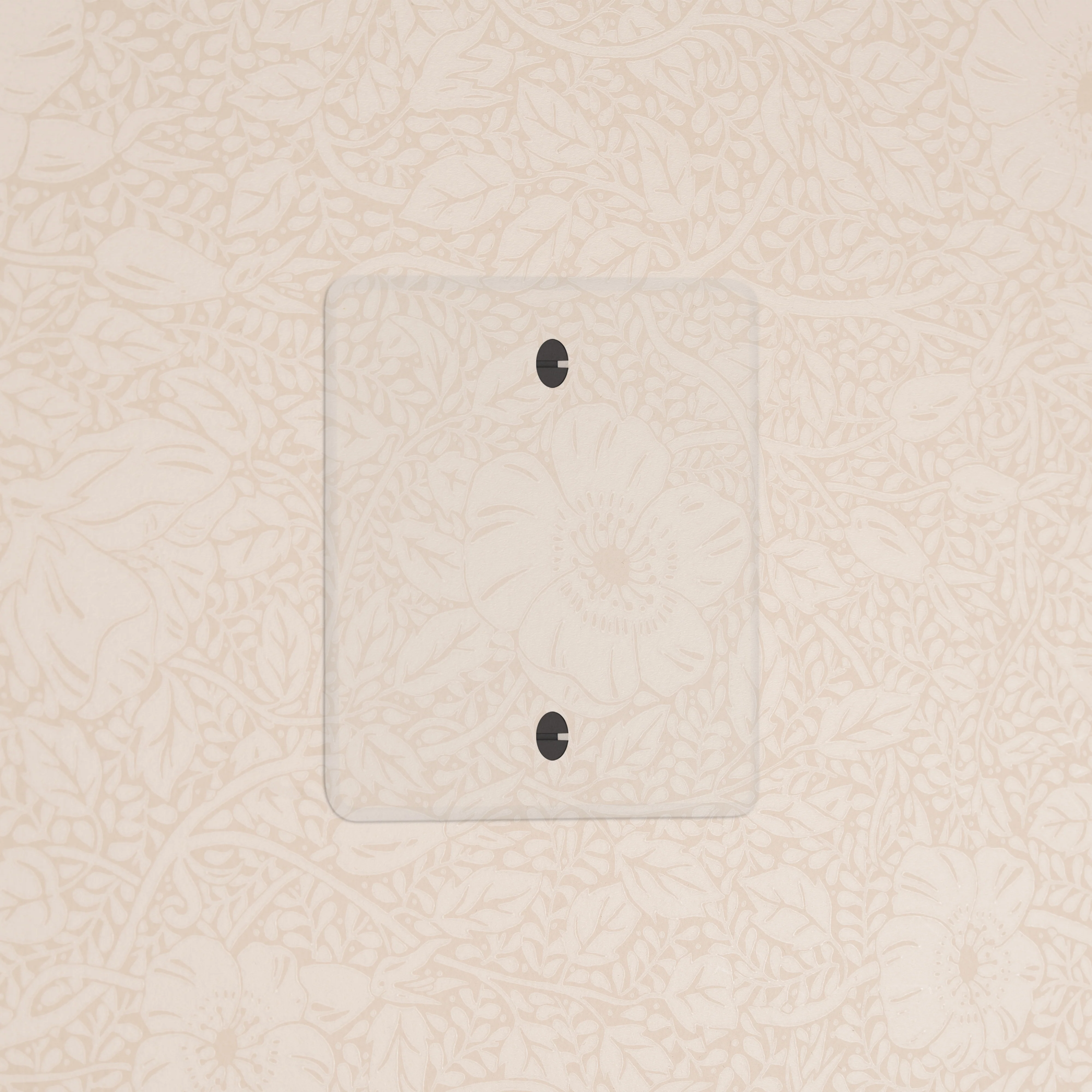 Kew Single Blank Plate - Clear | Black