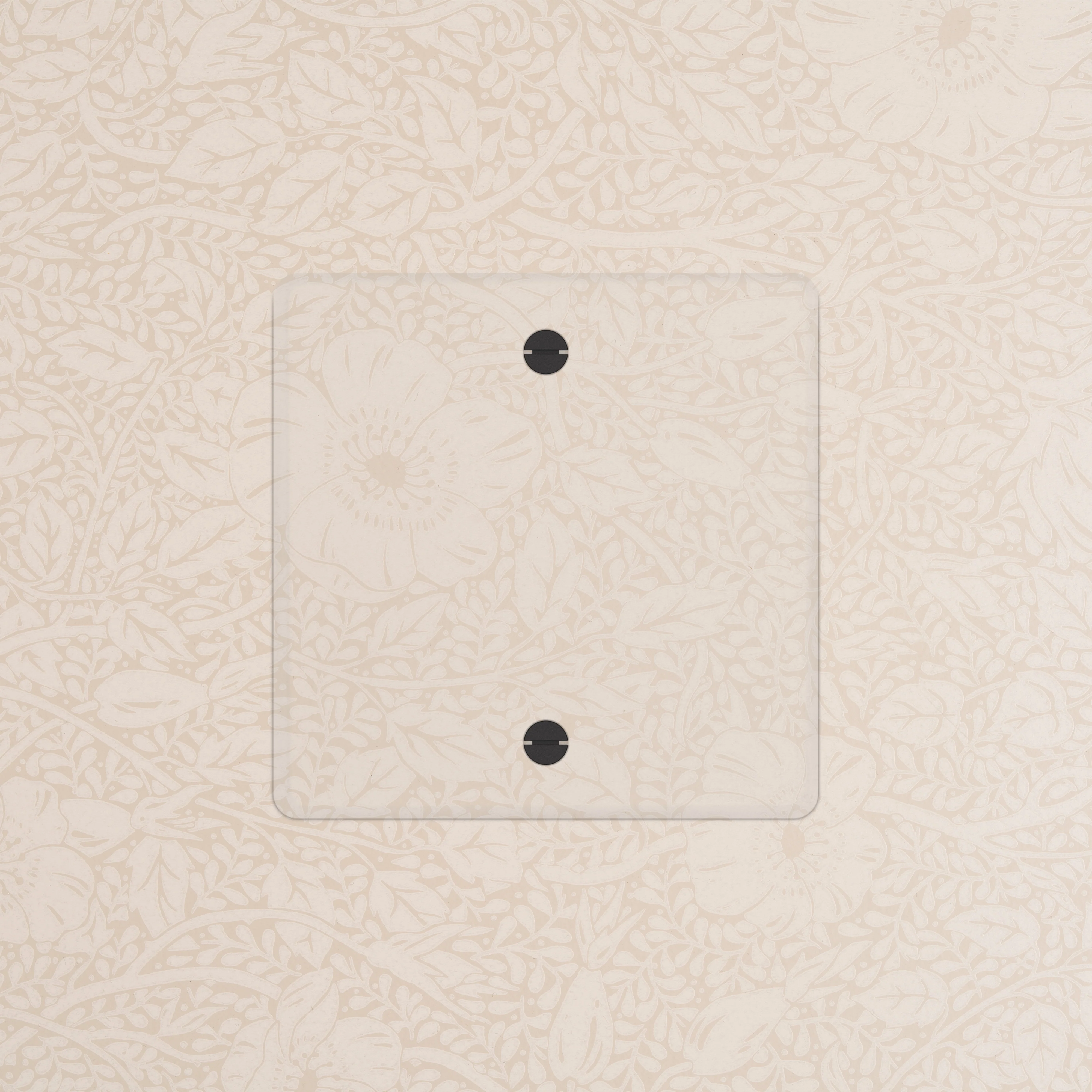 Kew Single Blank Plate - Clear | Black - Image 2