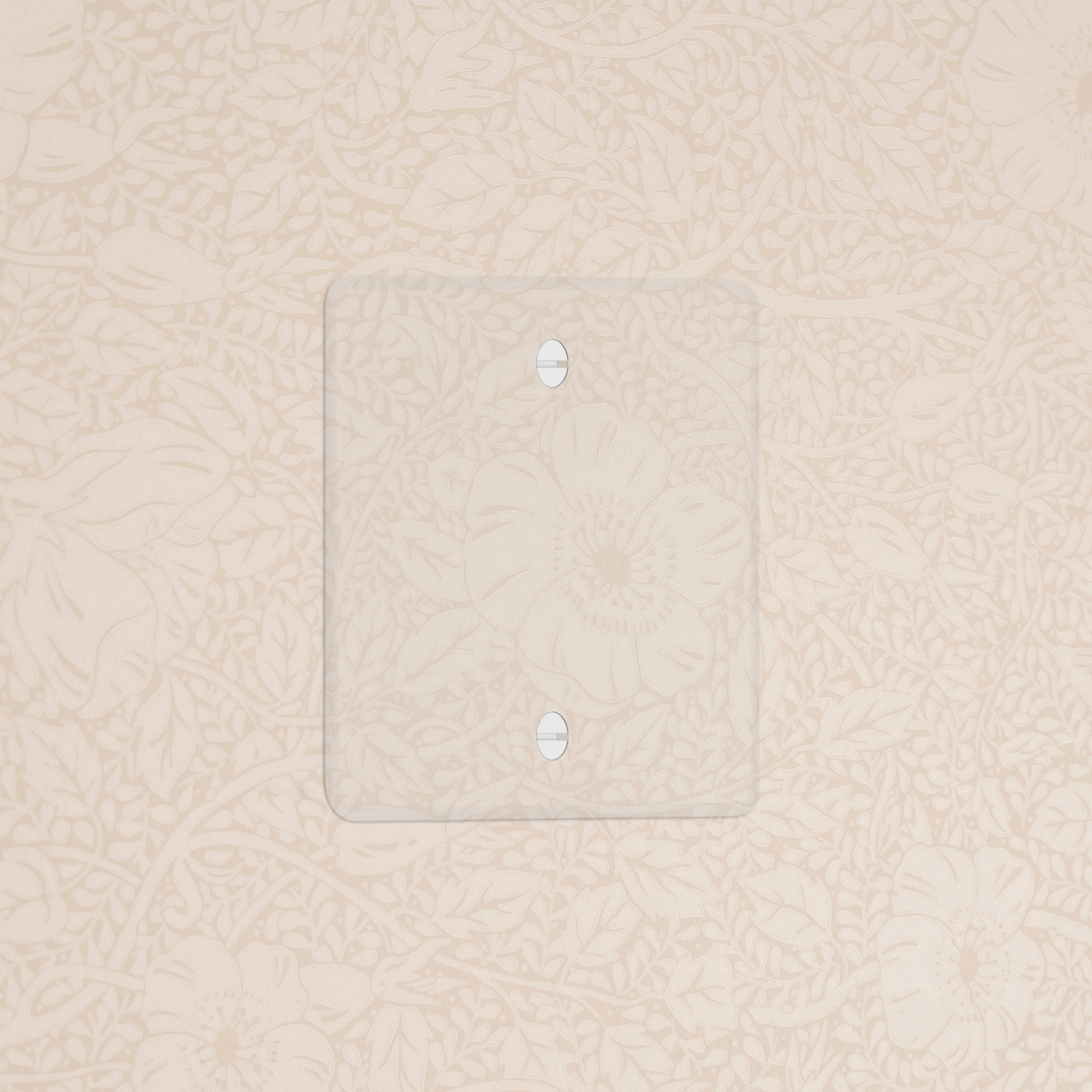 Kew Single Blank Plate - Clear | White