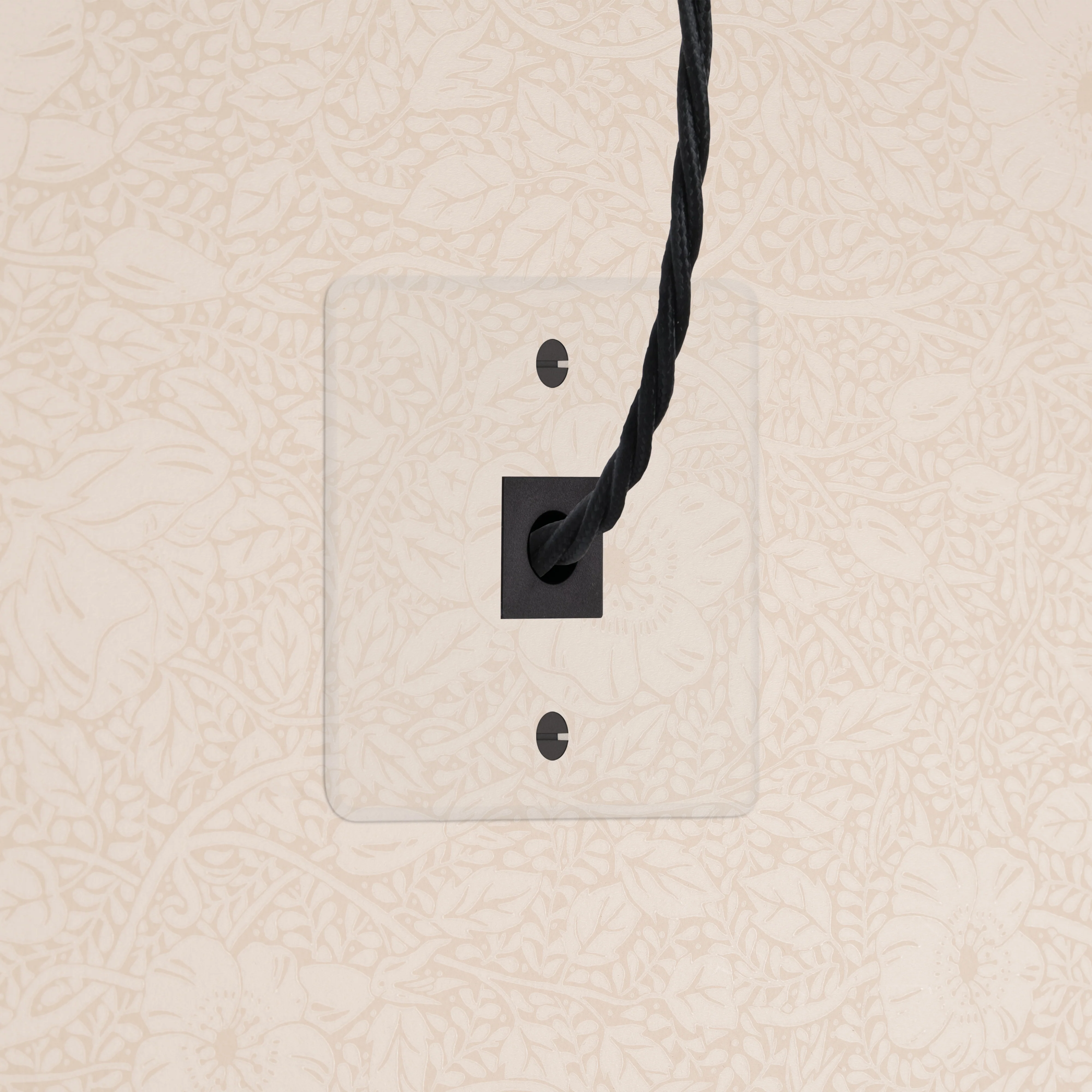 Kew Single Cable Outlet - Clear | Black
